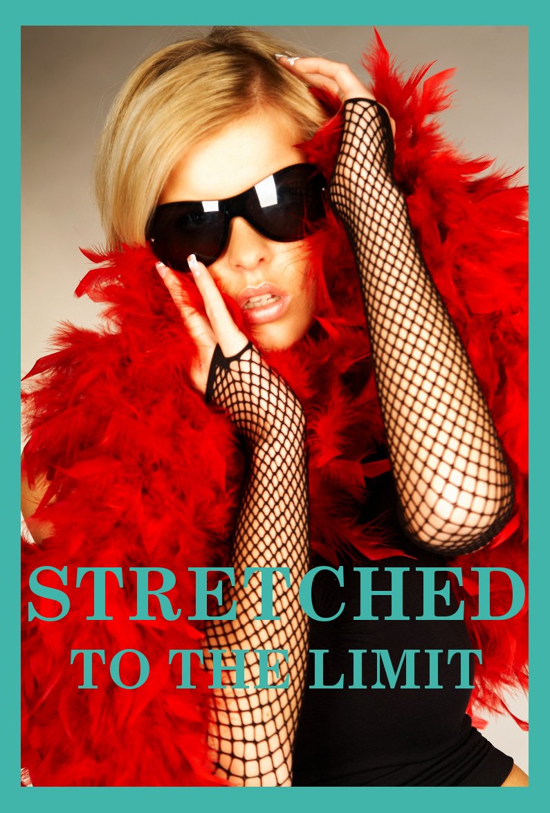 Stretched To The Limit Five Rough Sex Erotica Stories By Veronica 