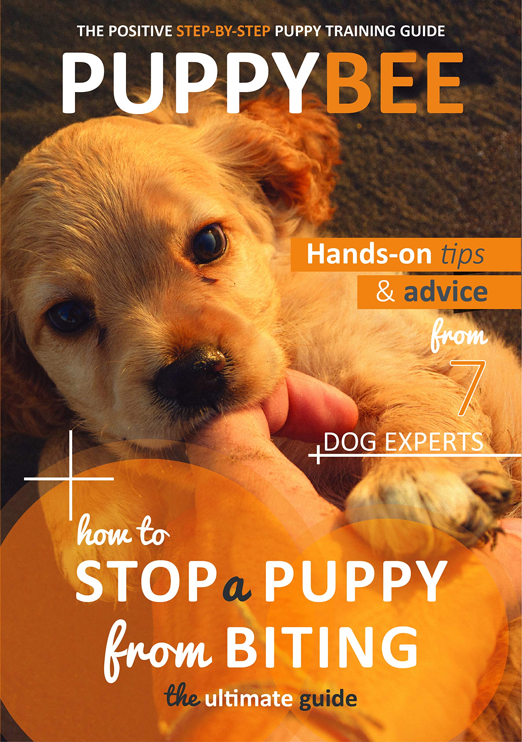 How To Stop A Puppy From Biting The Ultimate Guide Hand On Tips And
