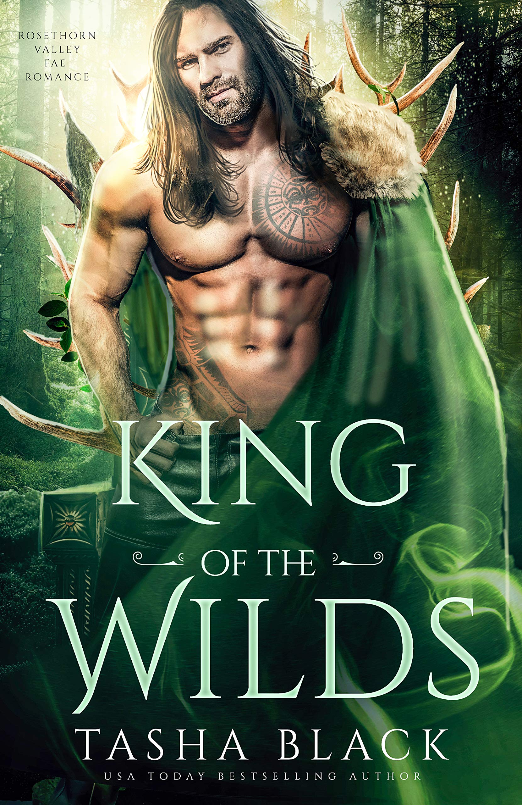 Rosethorn Valley Fae book cover 3