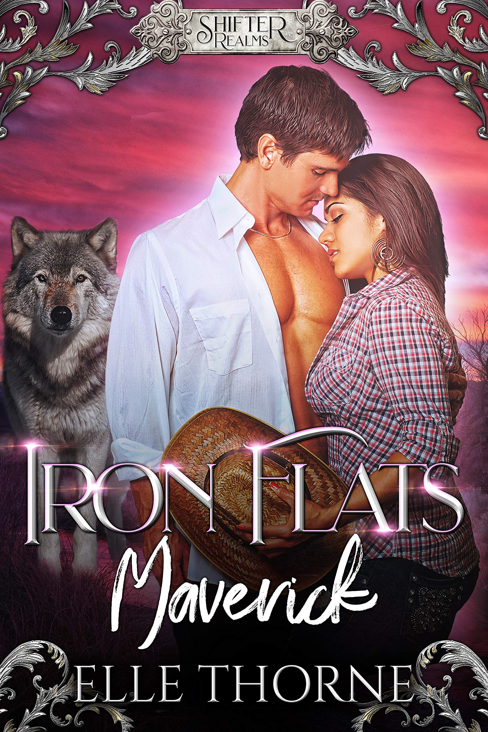Iron Flats Maverick book cover