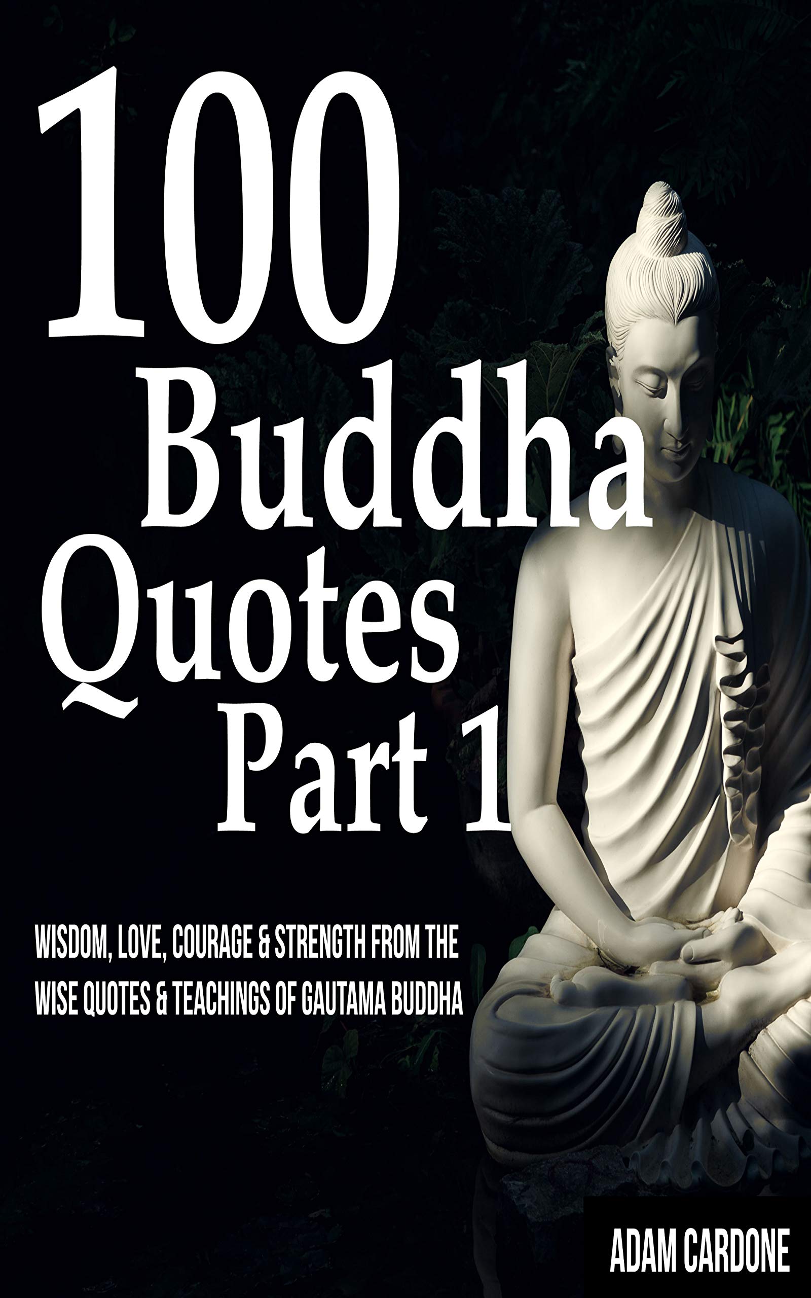 100 Buddha Quotes Part 1 Wisdom Love Courage Strength From The