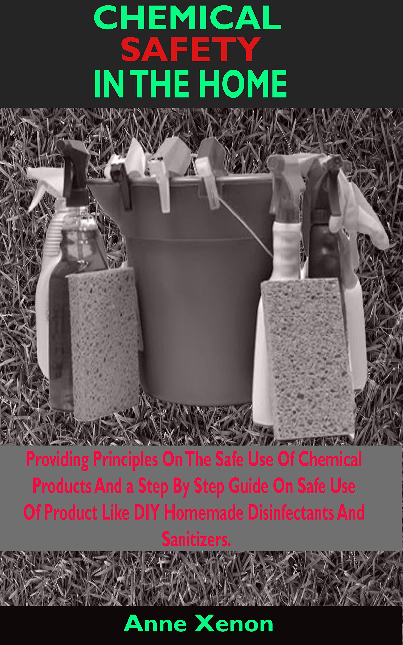 CHEMICAL SAFETY IN THE HOME Providing Principles on The safe UseOf