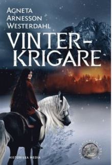 Vikingaserien book cover 2