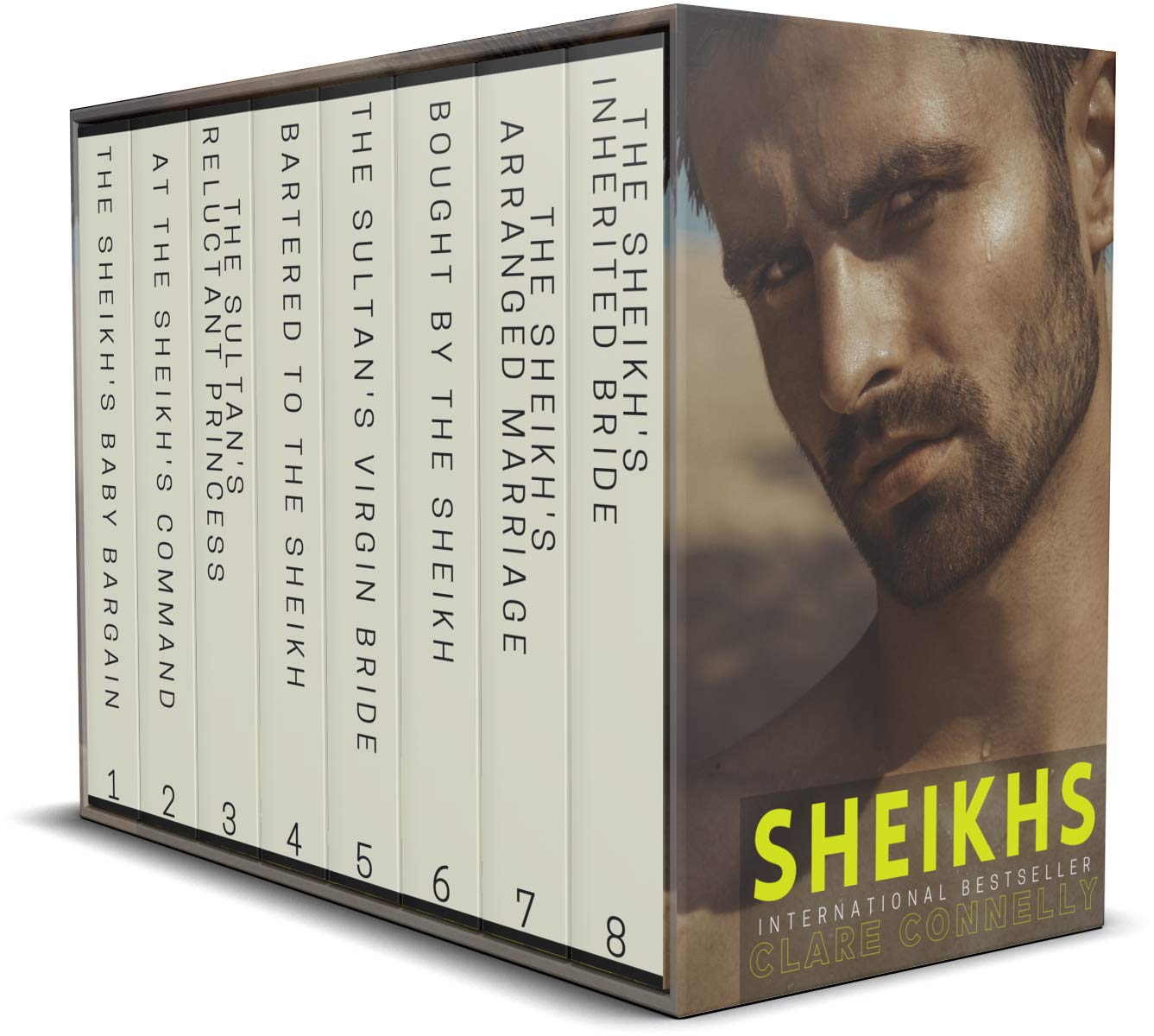 Sheikhs book cover
