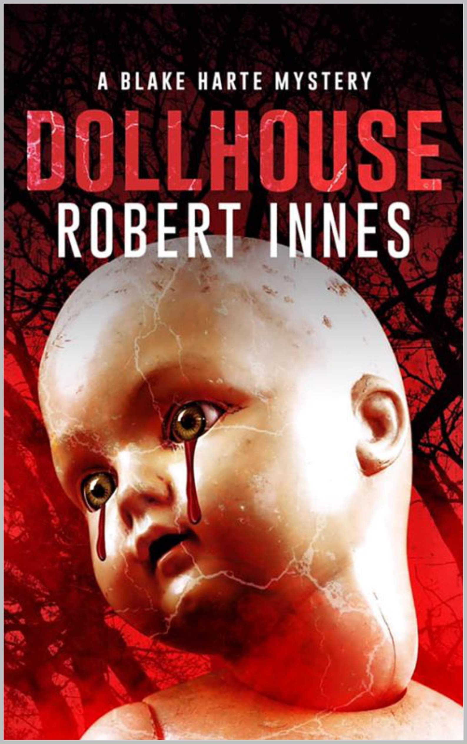 Dollhouse (The Blake Harte Mysteries #11) by Robert Innes | Goodreads