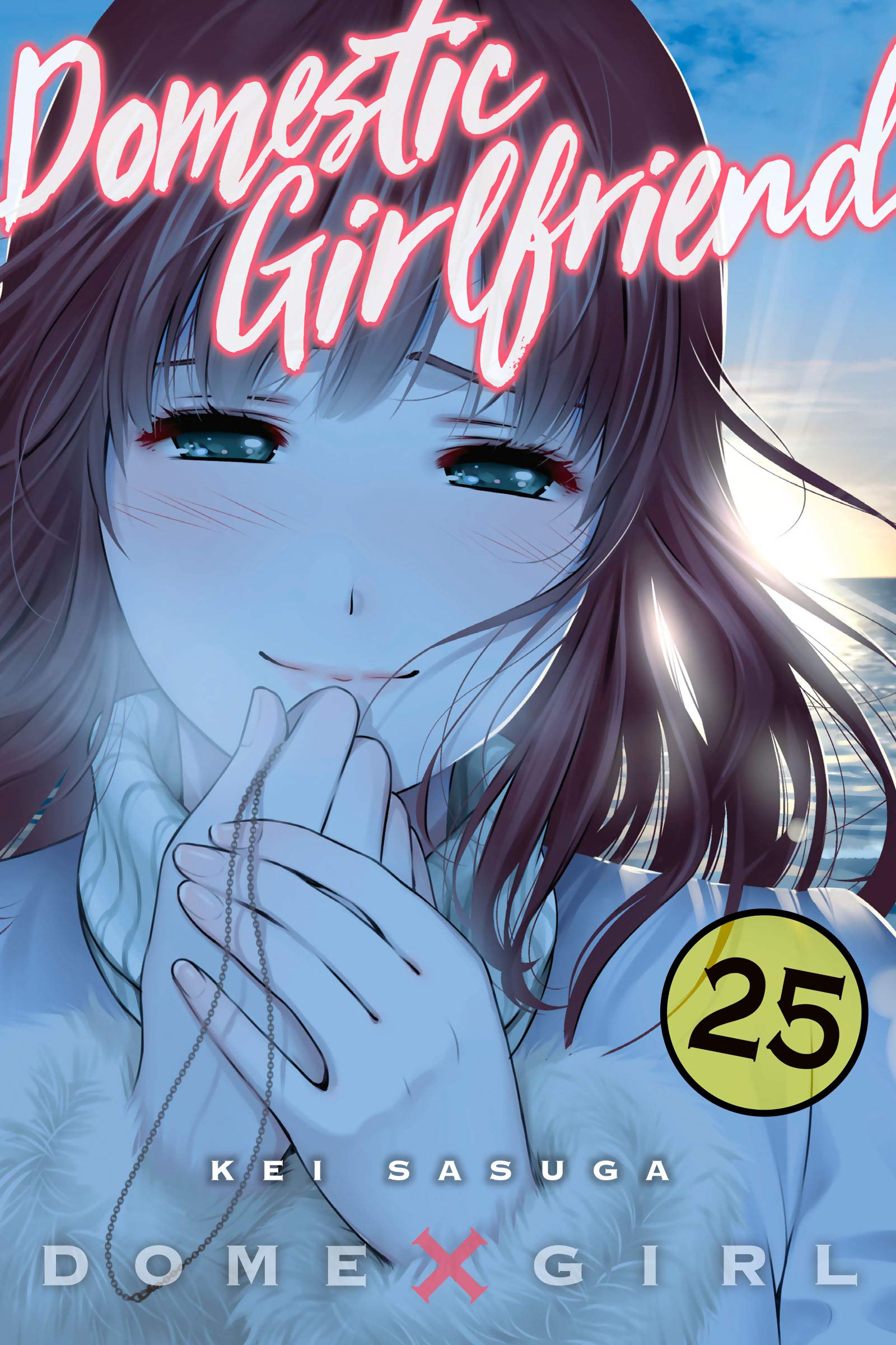 Domestic Girlfriend, Vol. 25 book cover
