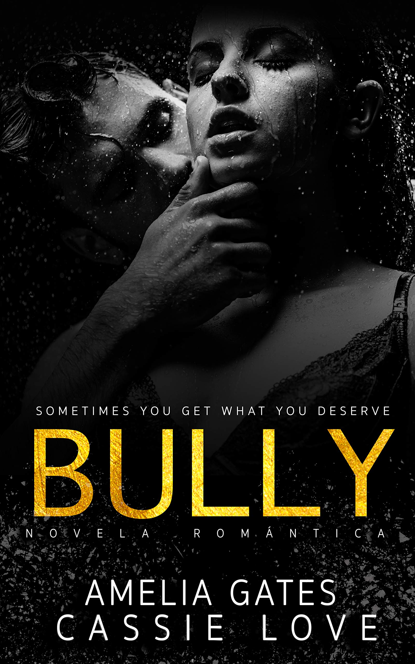 BULLY book cover