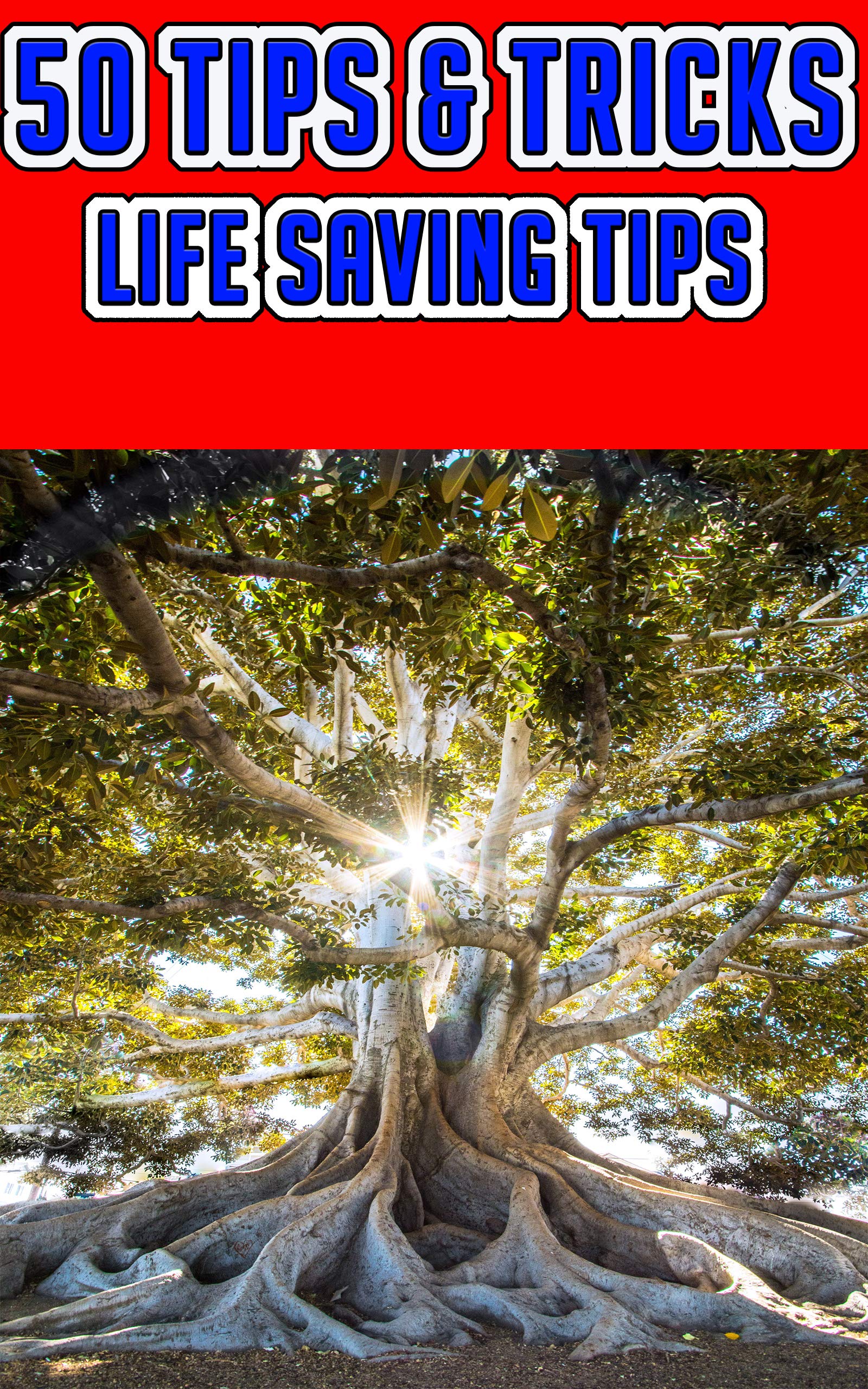 Don'T Ignore This: Life Saving Advice From Railey.Tv - n393yiw
