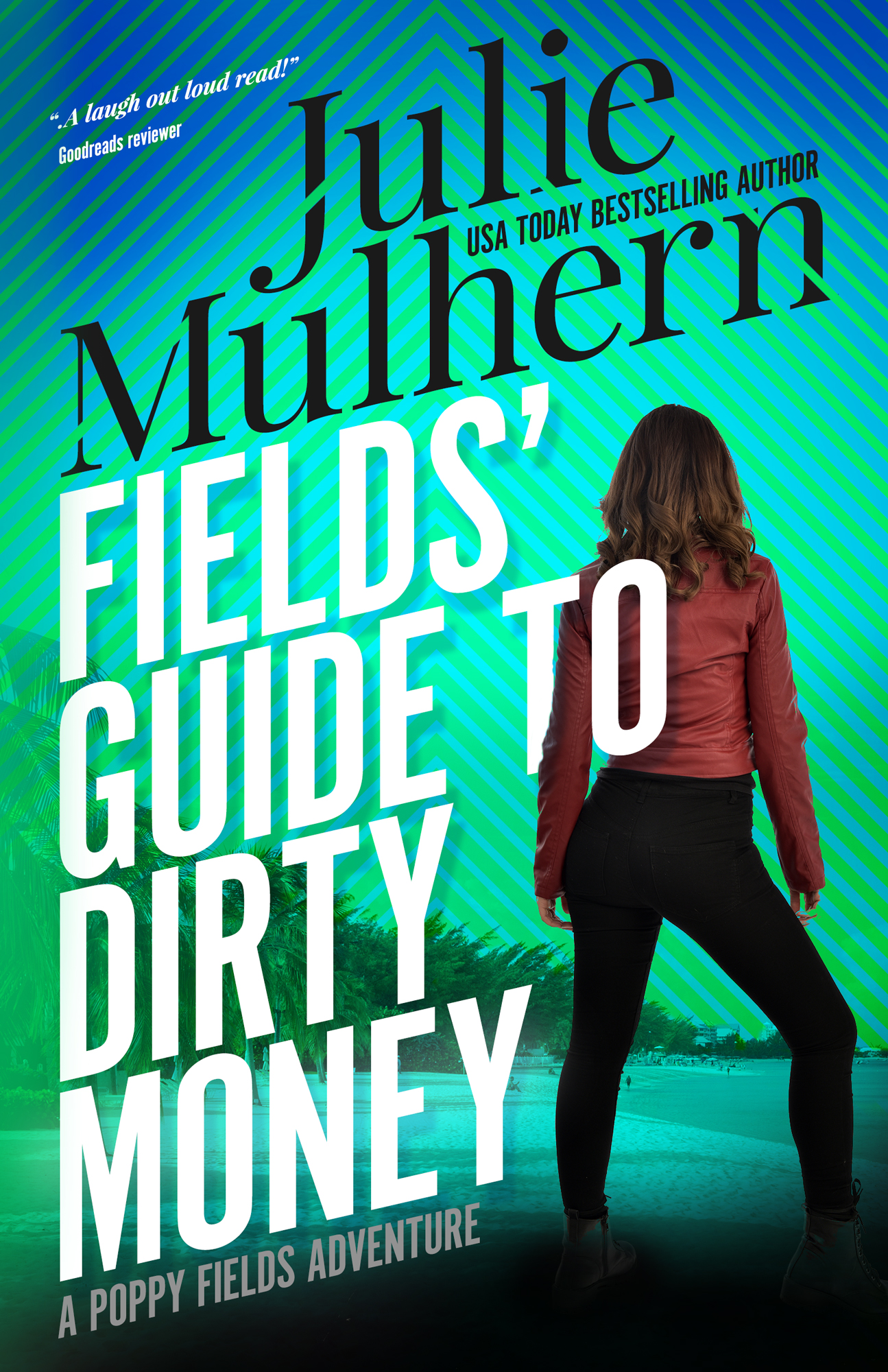 Fields' Guide to Dirty Money book cover