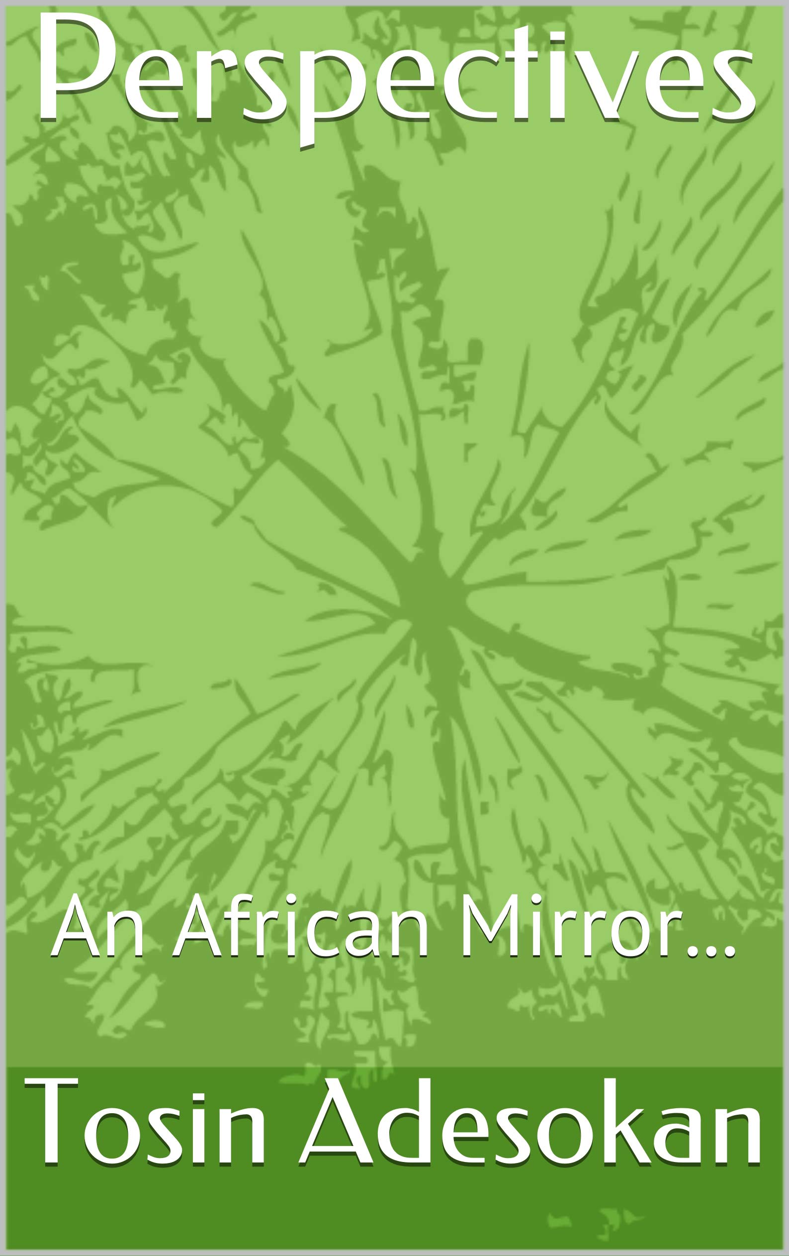 Perspectives An African Mirror... by Tosin Adesokan Goodreads
