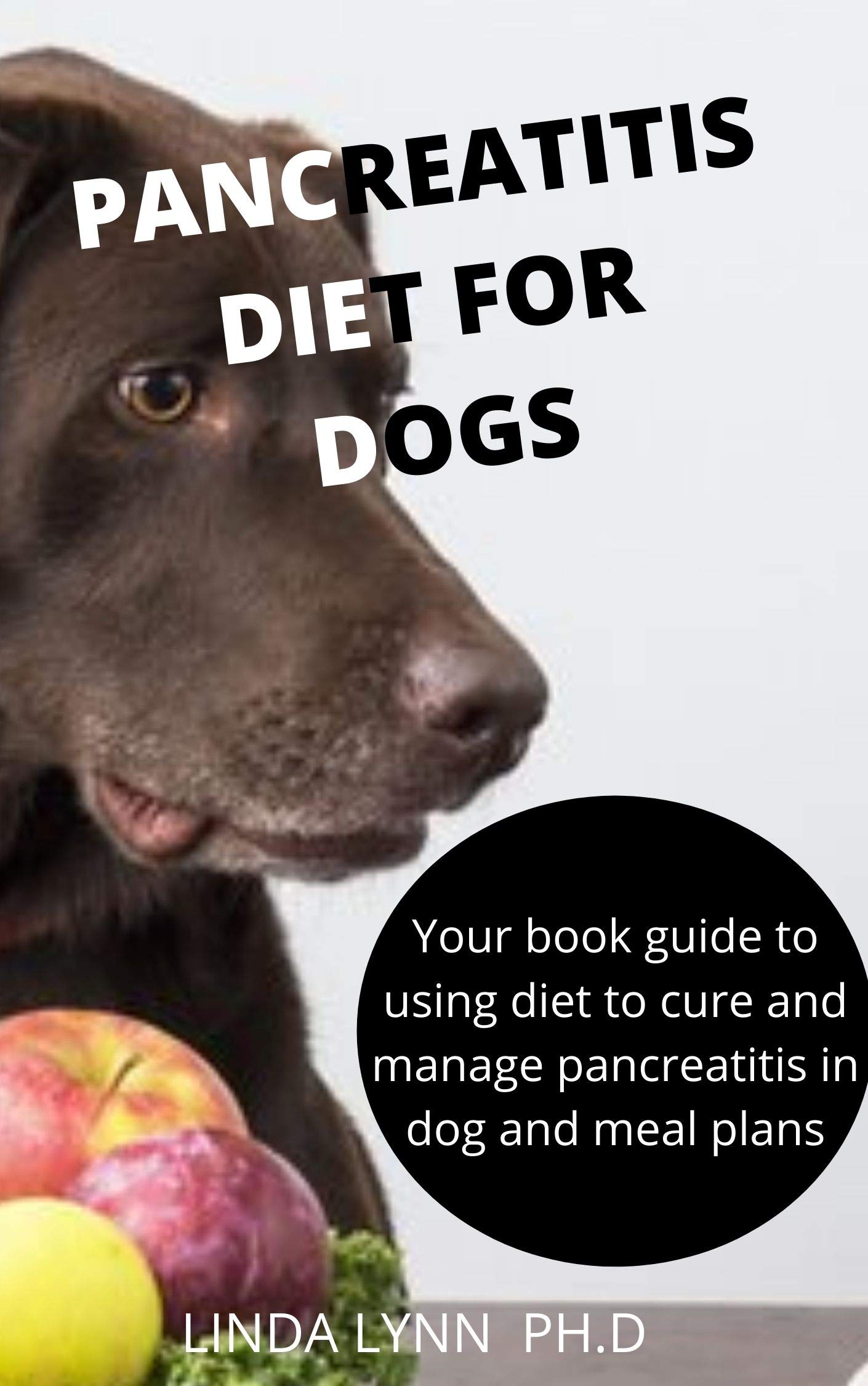 PANCREATITIS DIET FOR DOGS COMPREHENSIVE AND PREFECT GUIDE ON HOW