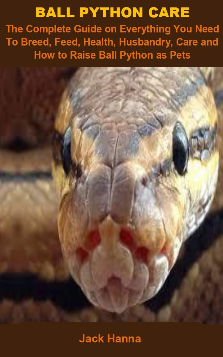 Ball Python Care: Ball Python Care: The Complete Guide On Everything ...
