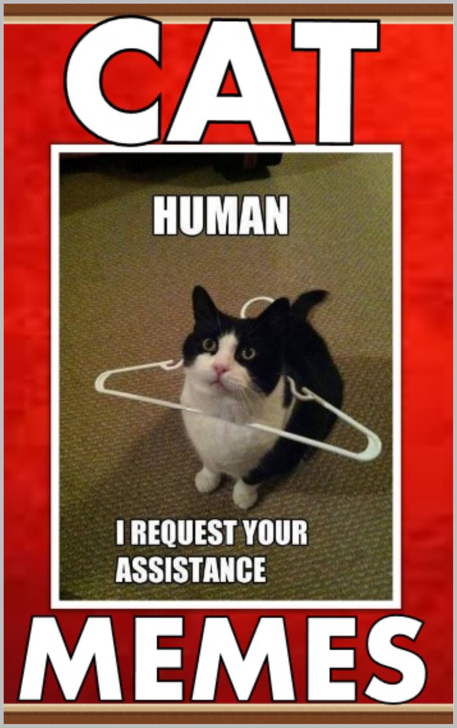 Memes Epic CAT MEMES Oh Yes These Funny Memes With The Craziest Cats