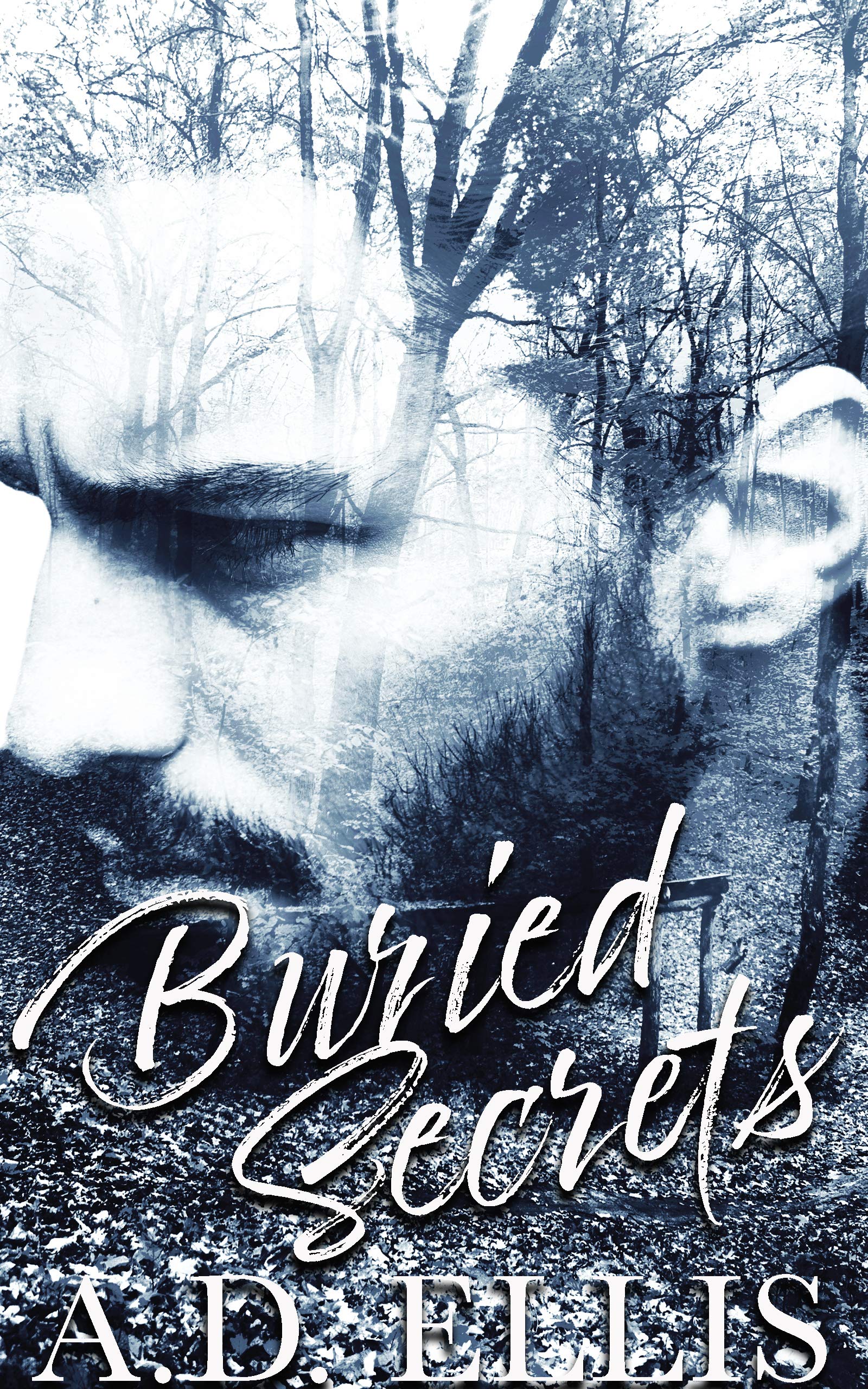 Buried Secrets book cover