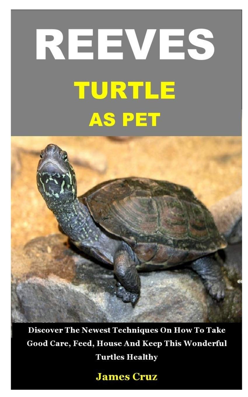 REEVES TURTLE AS PET Discover The Newest Techniques On How To Take
