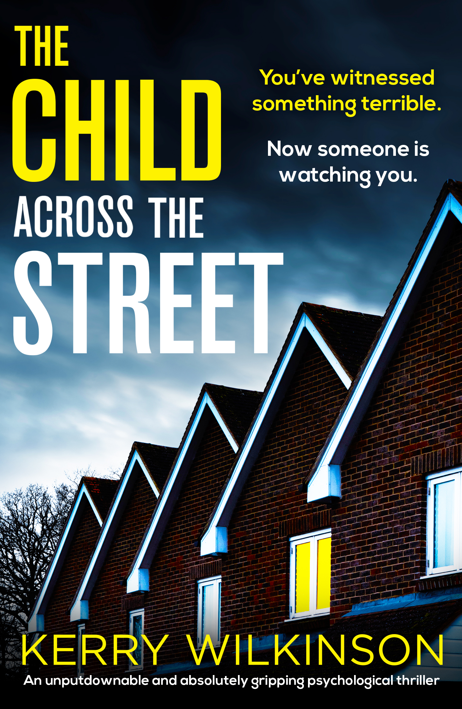The Child Across the Street book cover