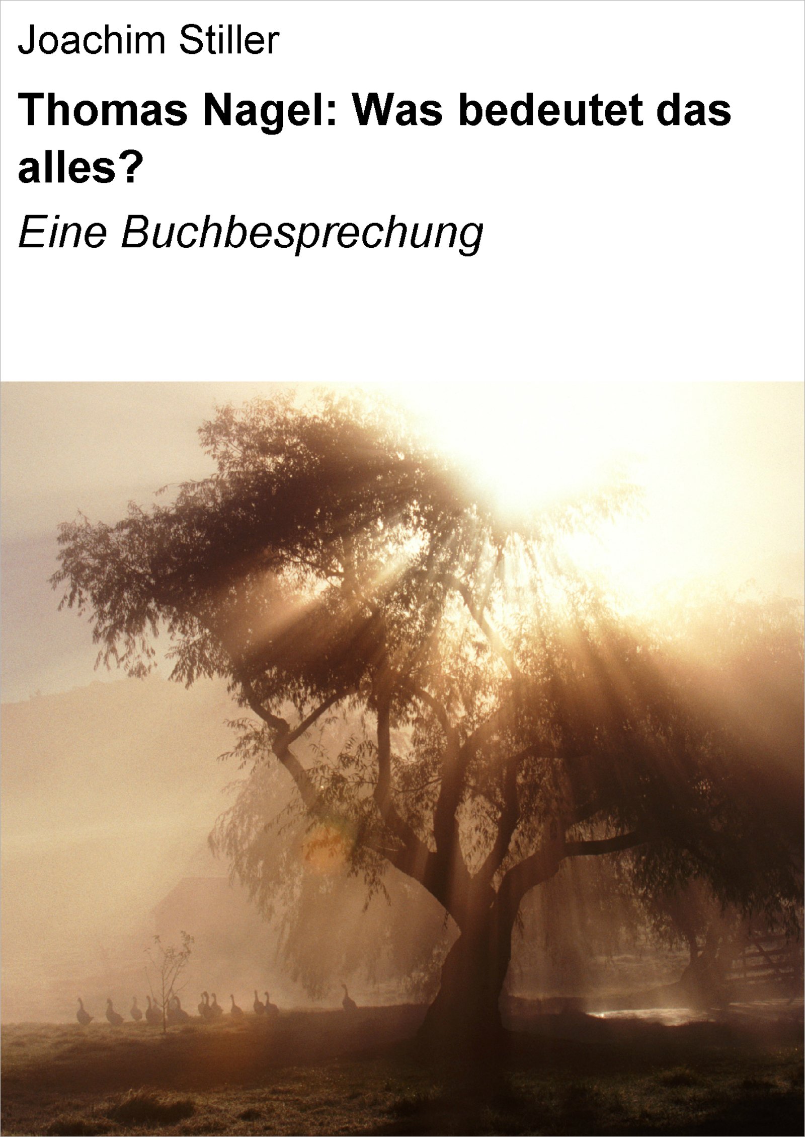 Thomas Nagel: Was bedeutet das alles?: Eine Buchbesprechung by Joachim
