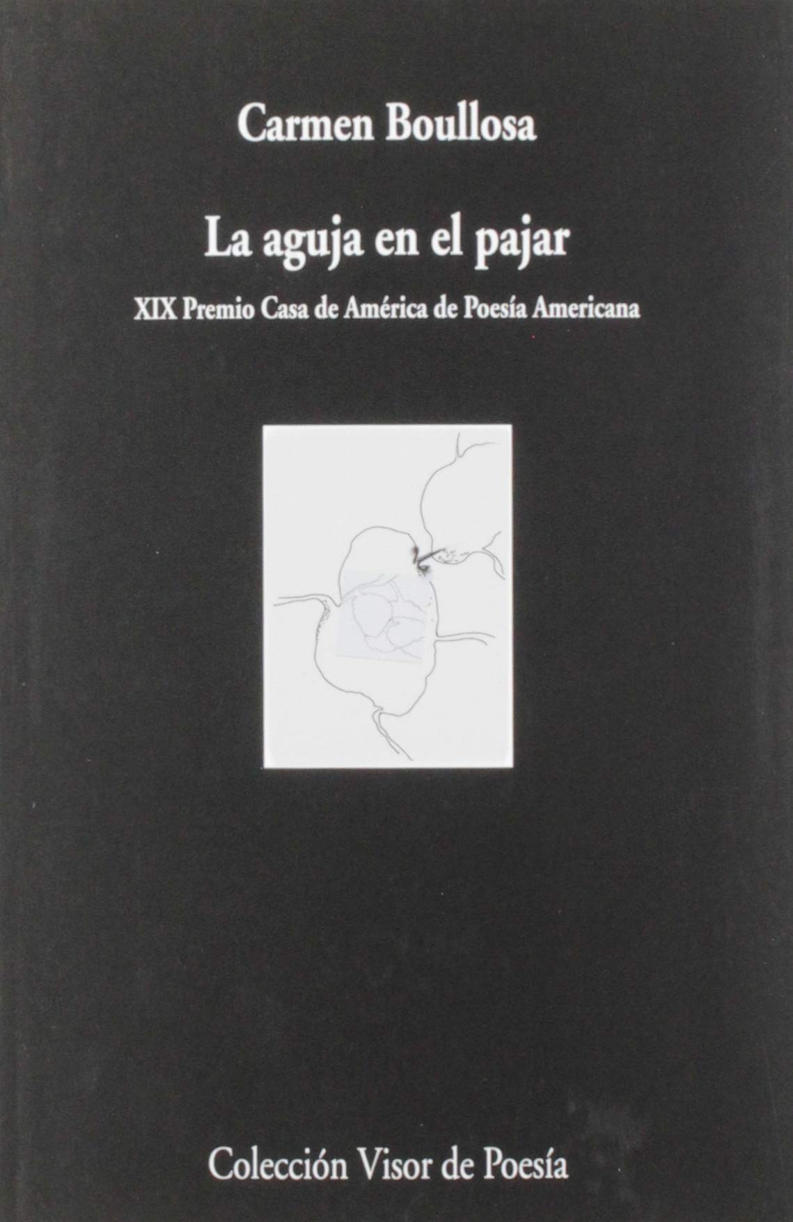 La aguja en el pajar book cover