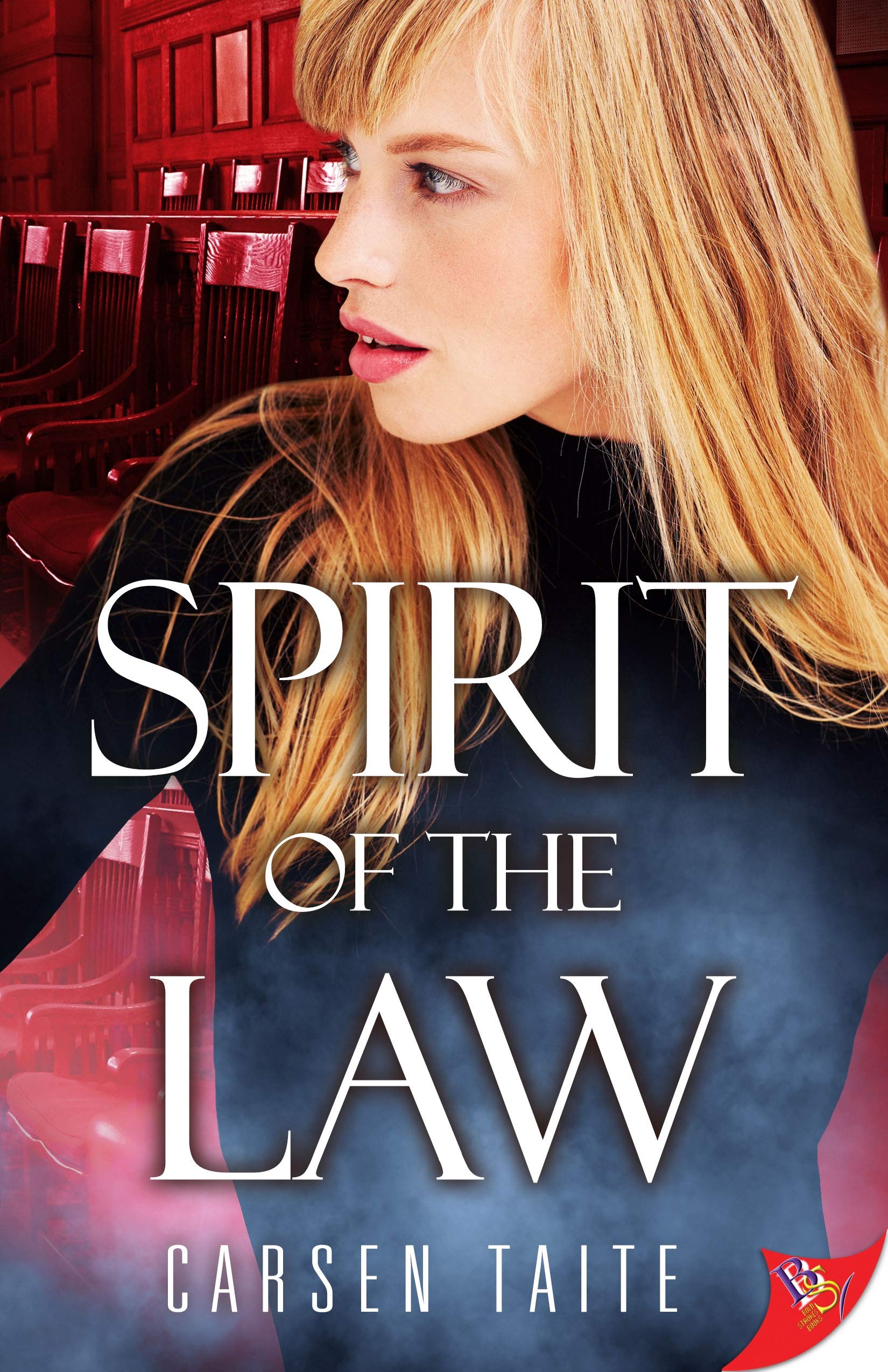 Spirit of the Law book cover