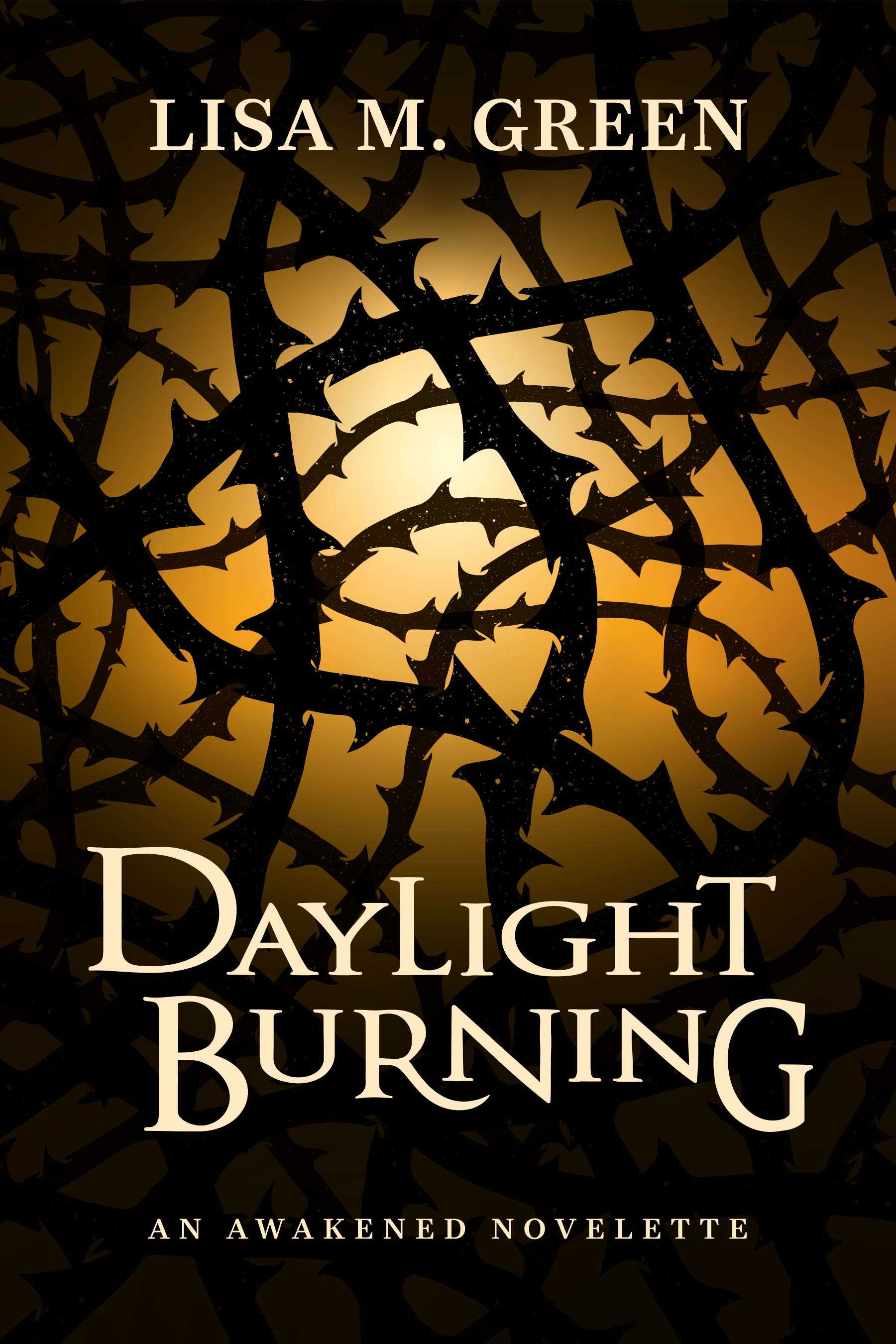 Daylight Burning: An Awakened Novelette by Lisa M. Green | Goodreads