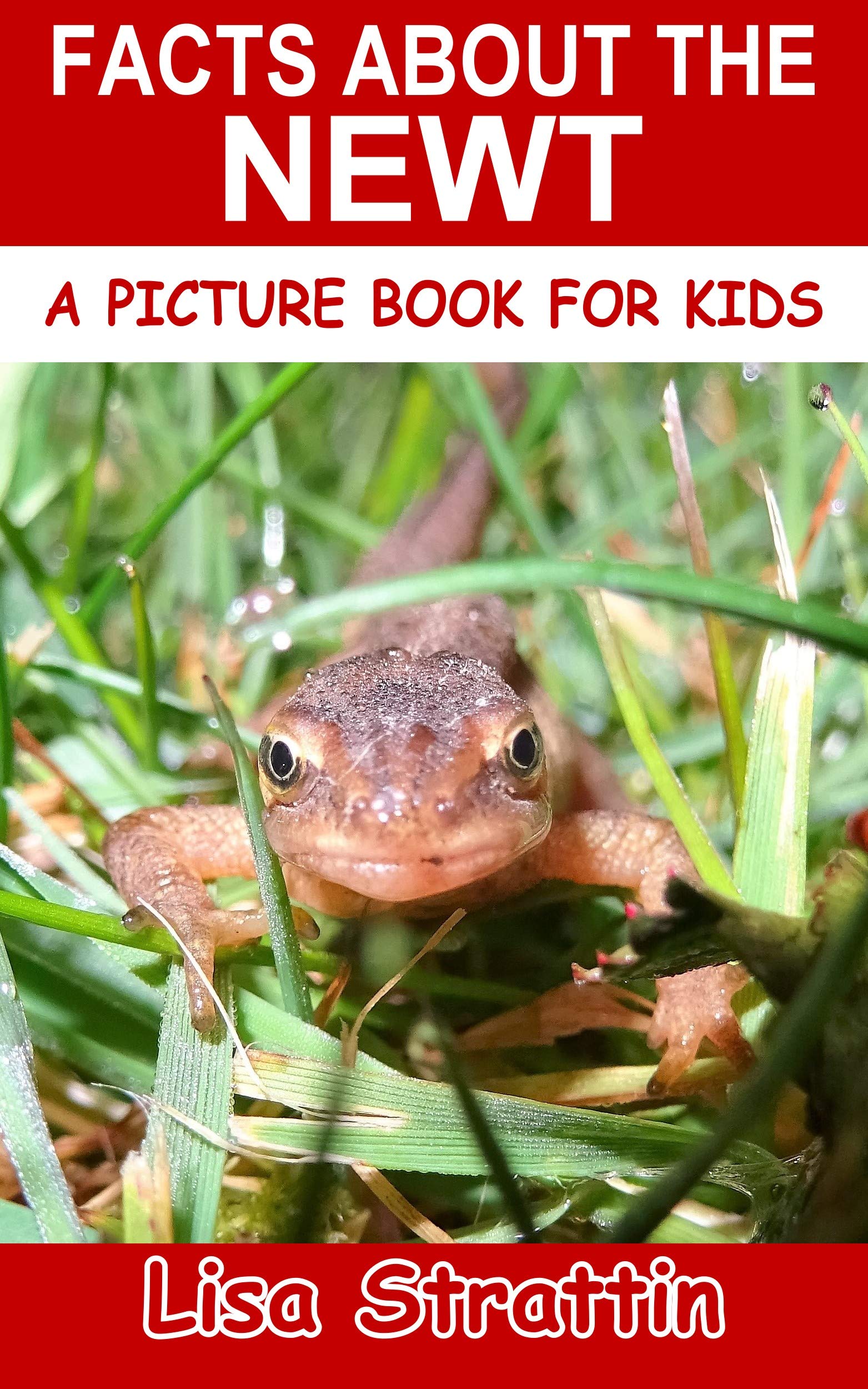 facts-about-the-newt-a-picture-book-for-kids-381-by-lisa-strattin
