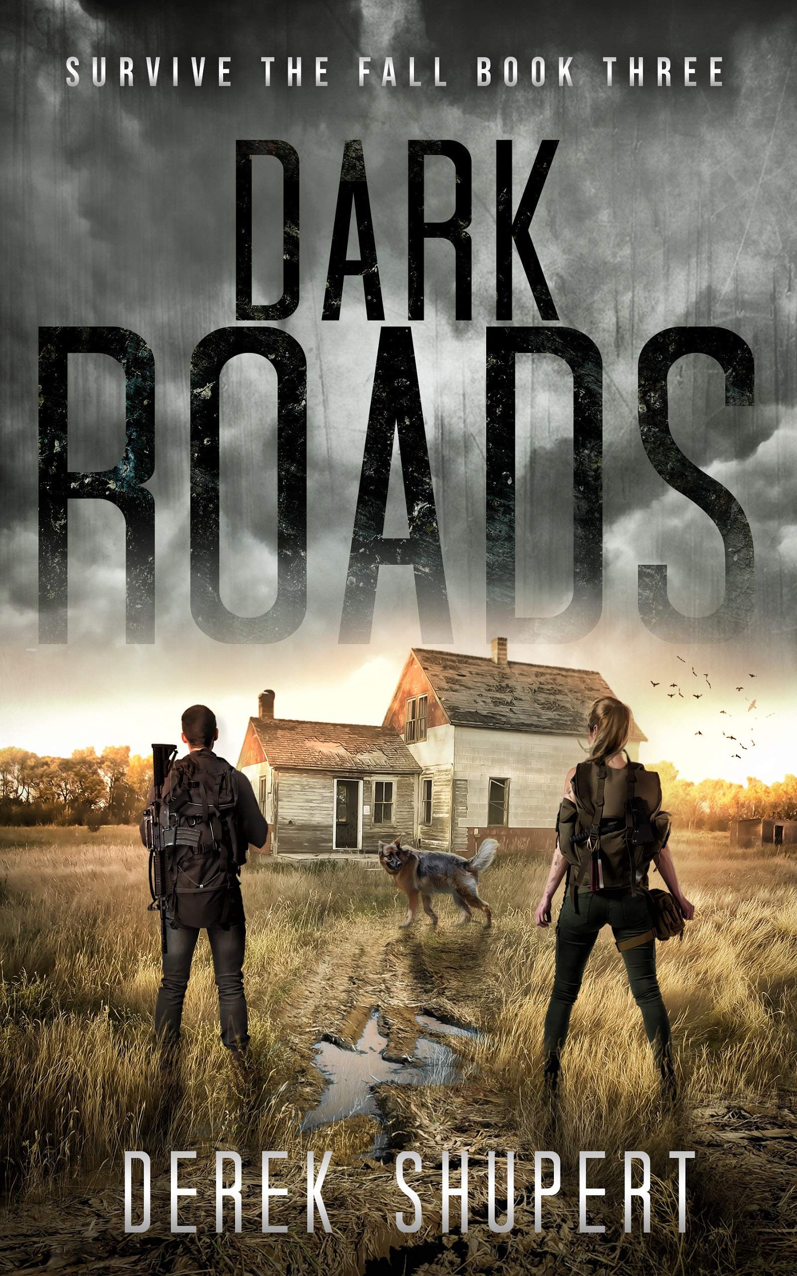 Dark Roads book cover