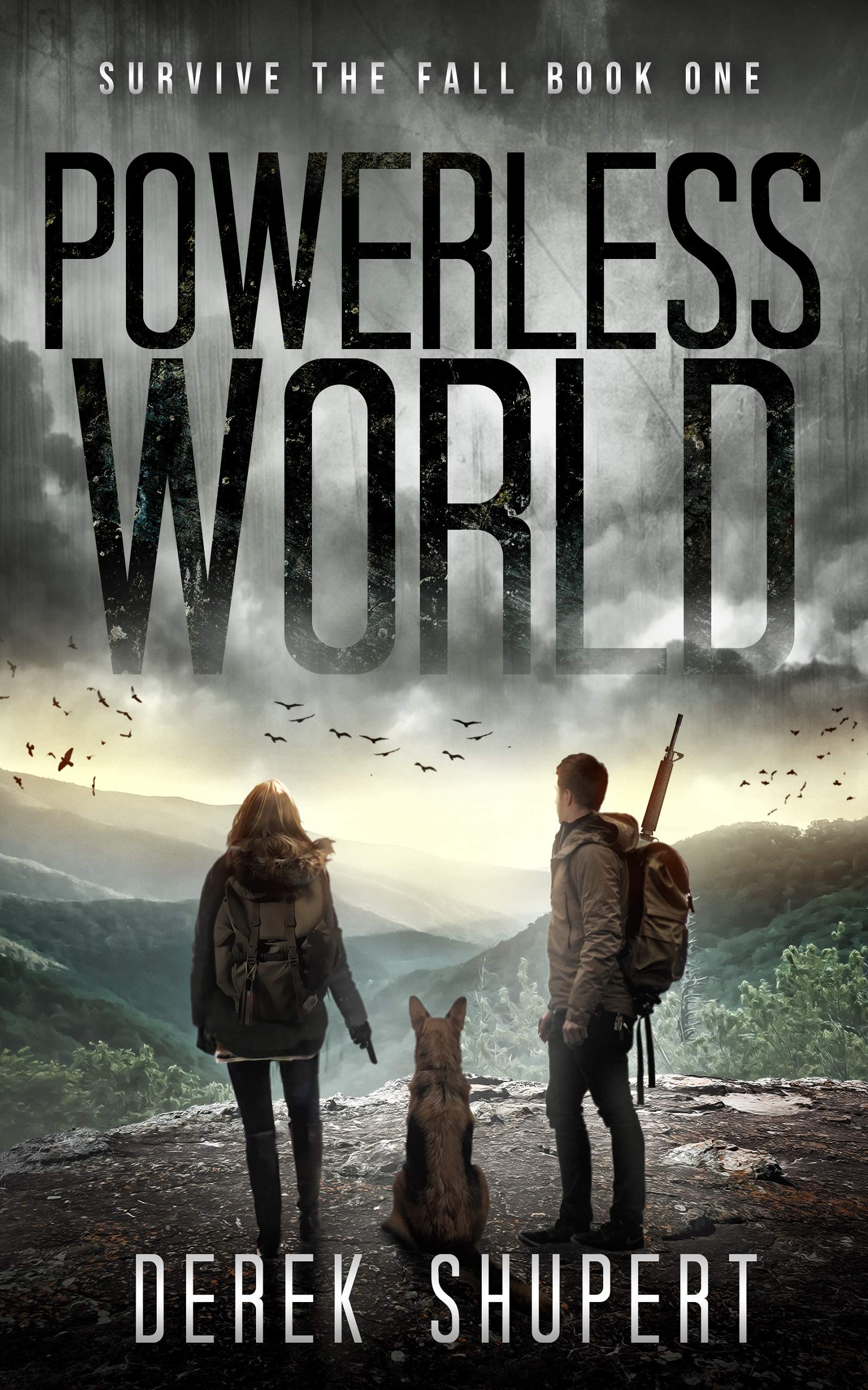 Powerless World book cover