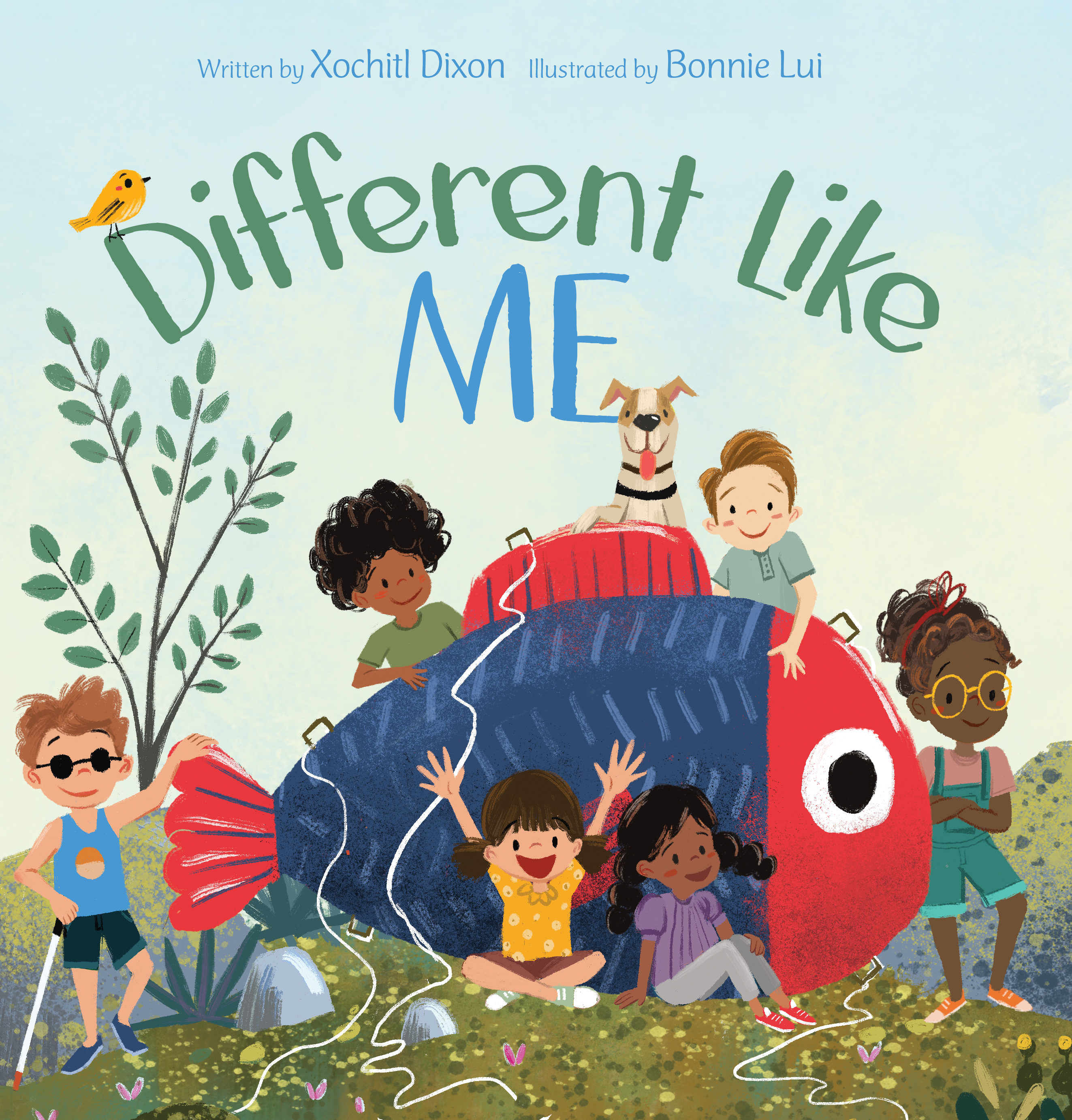 Different Like Me book cover