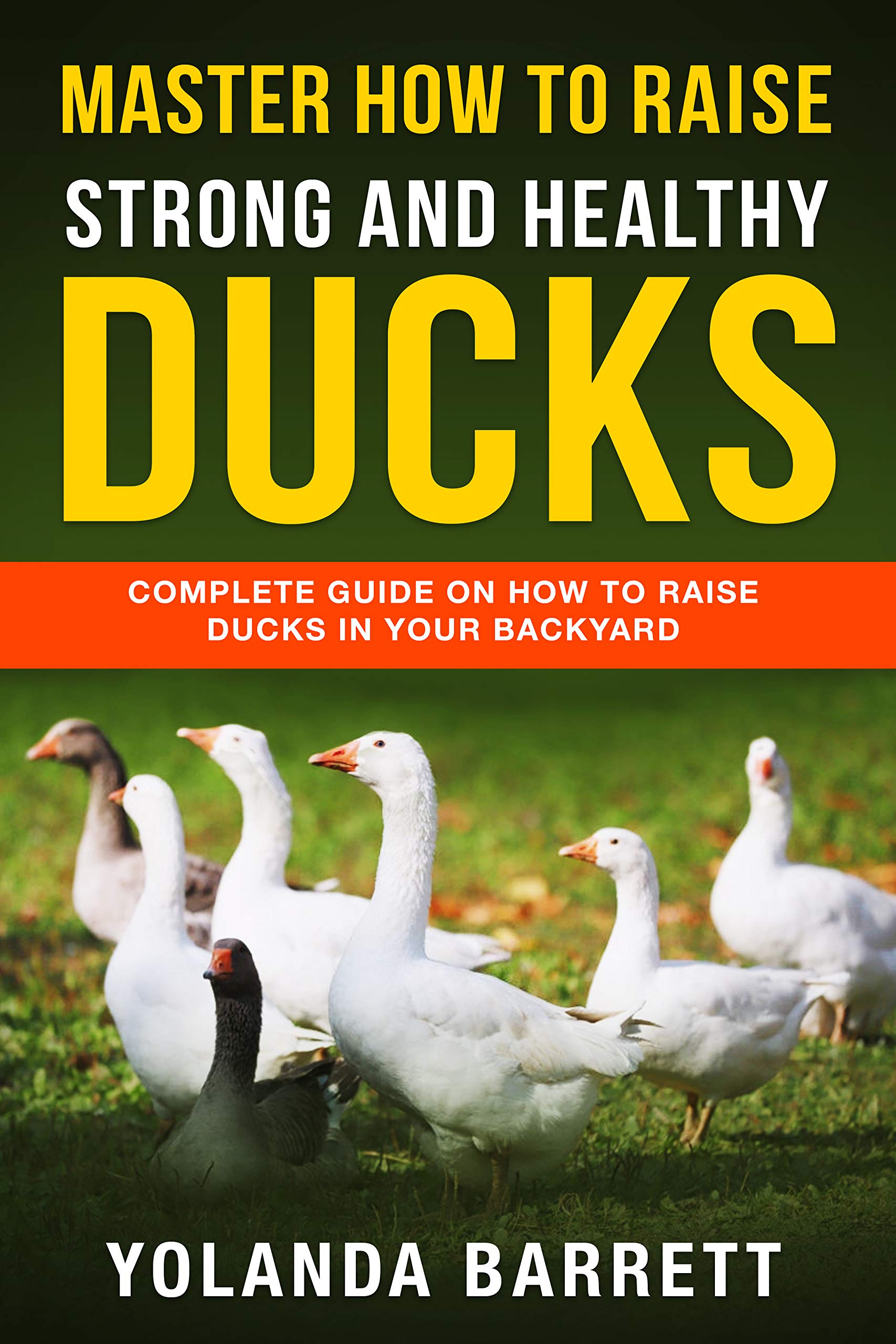 Master How To Raise Strong And Healthy Ducks Complete Guide On How To