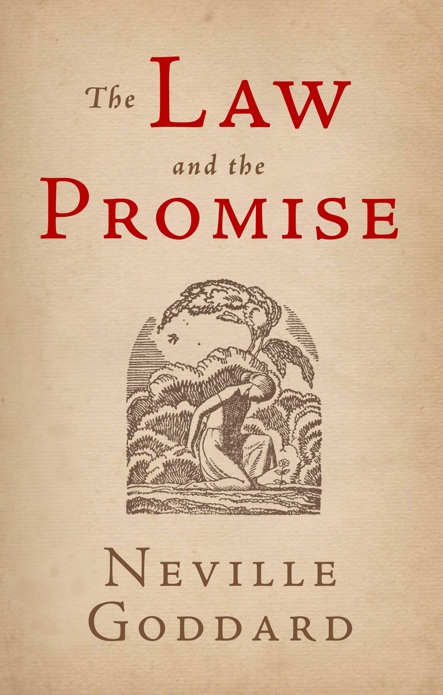 The Law and the Promise book cover