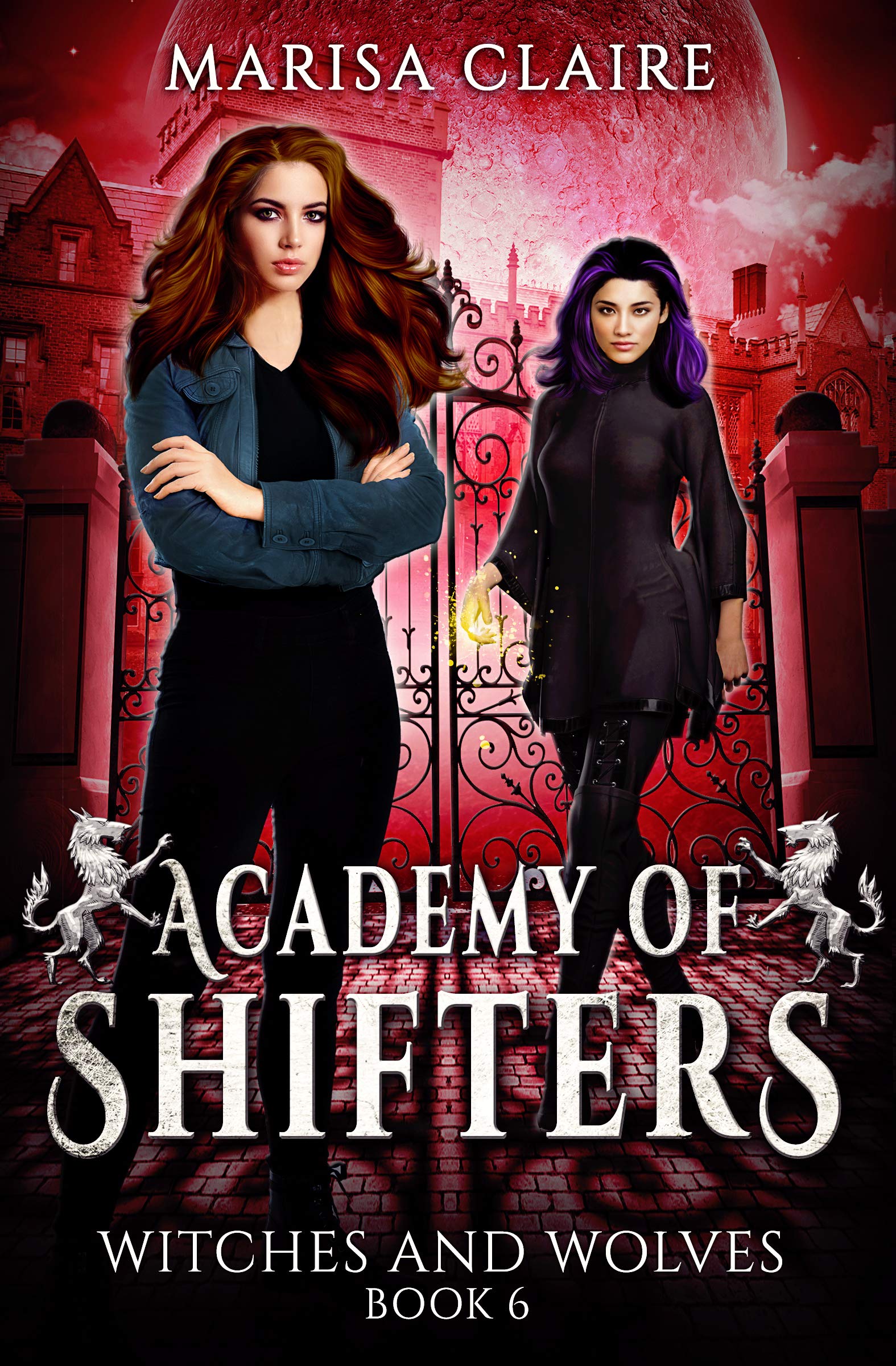 Witches and Wolves book cover