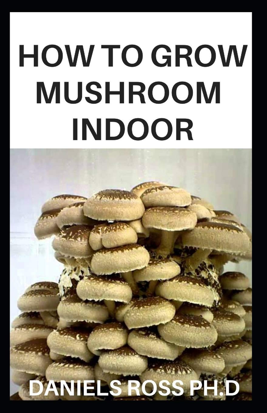 HOW TO GROW MUSHROOM INDOOR step by step guide on growing your own