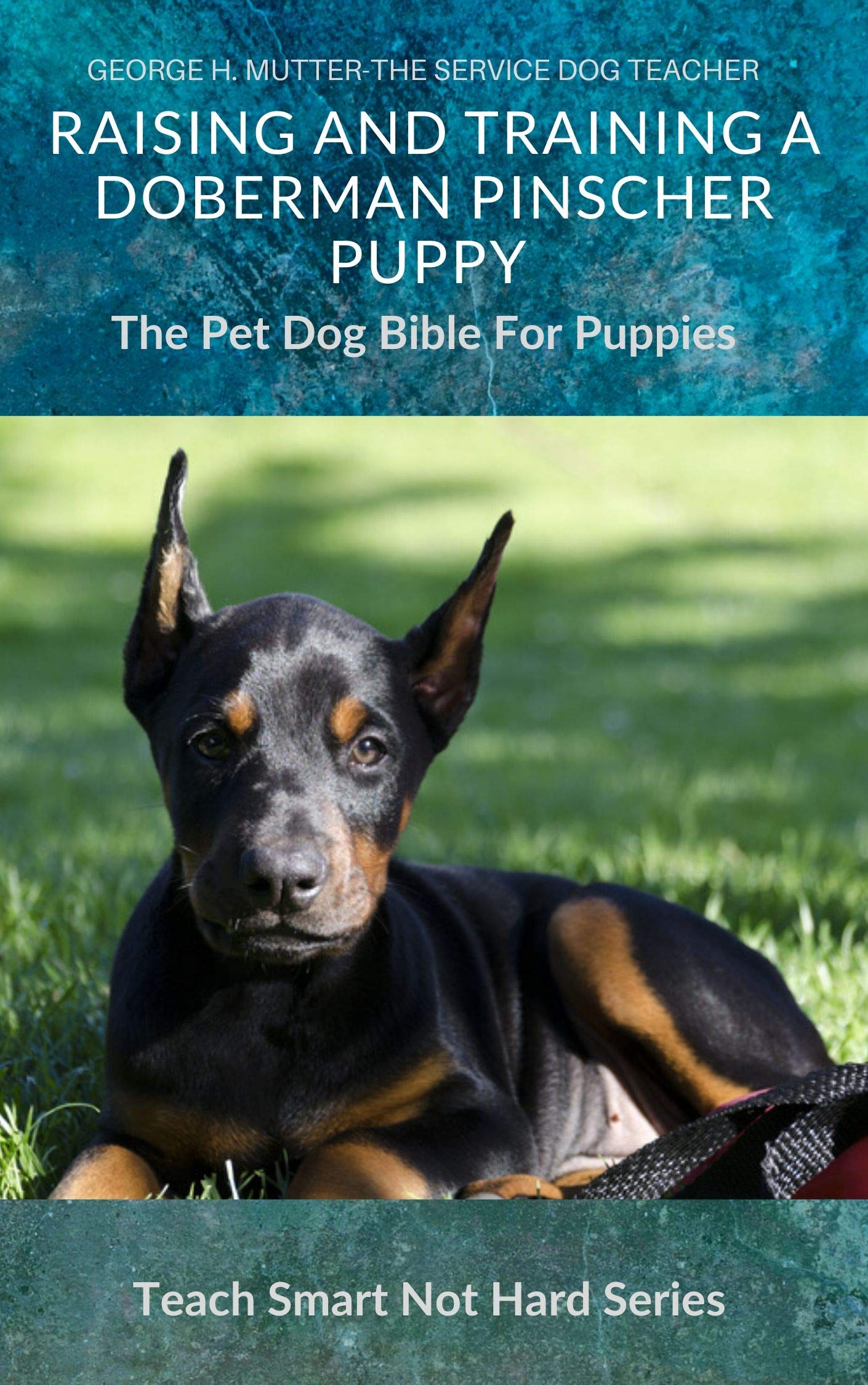 How To Train A Doberman Puppy At Home