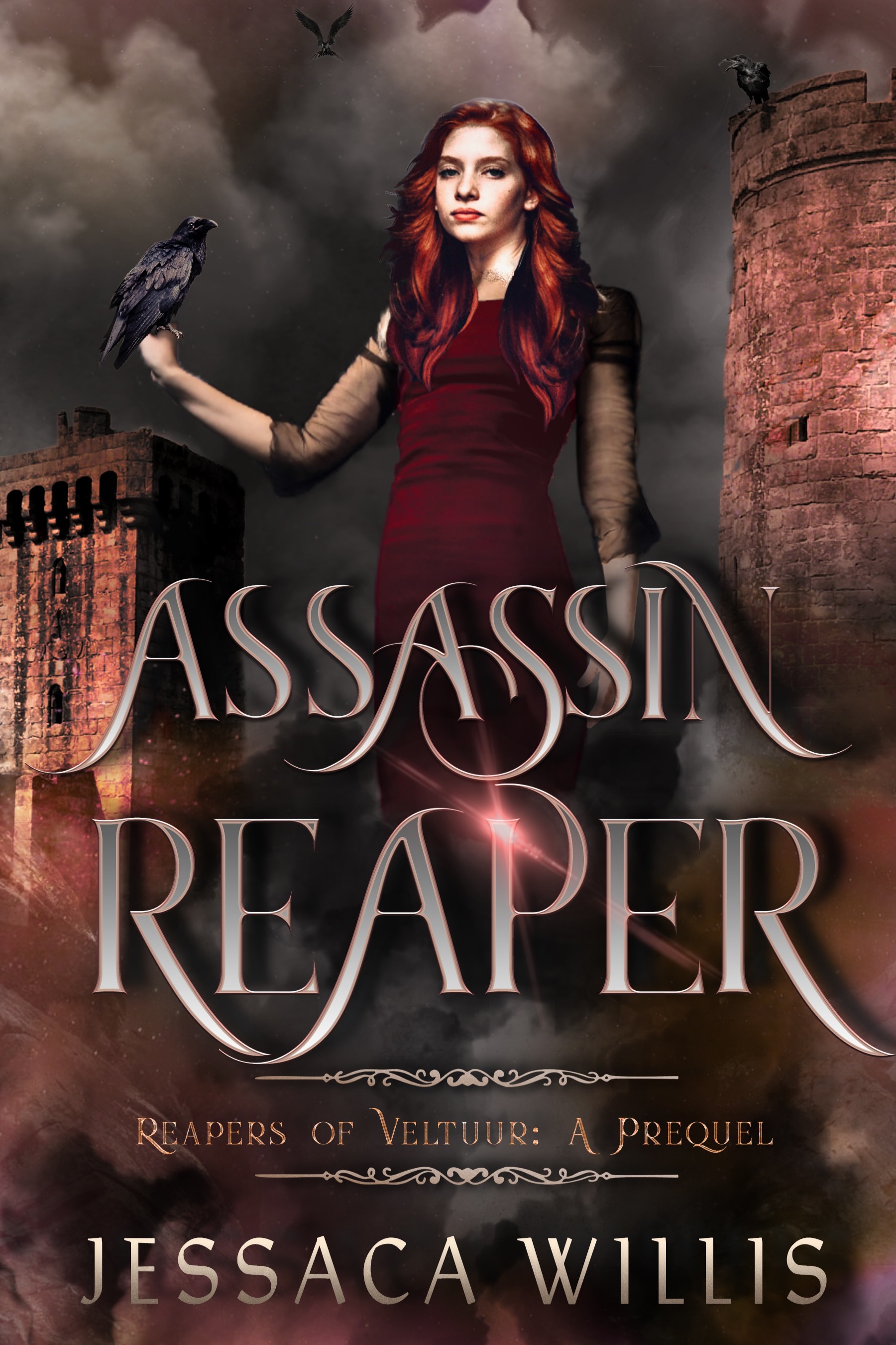 Assassin Reaper book cover