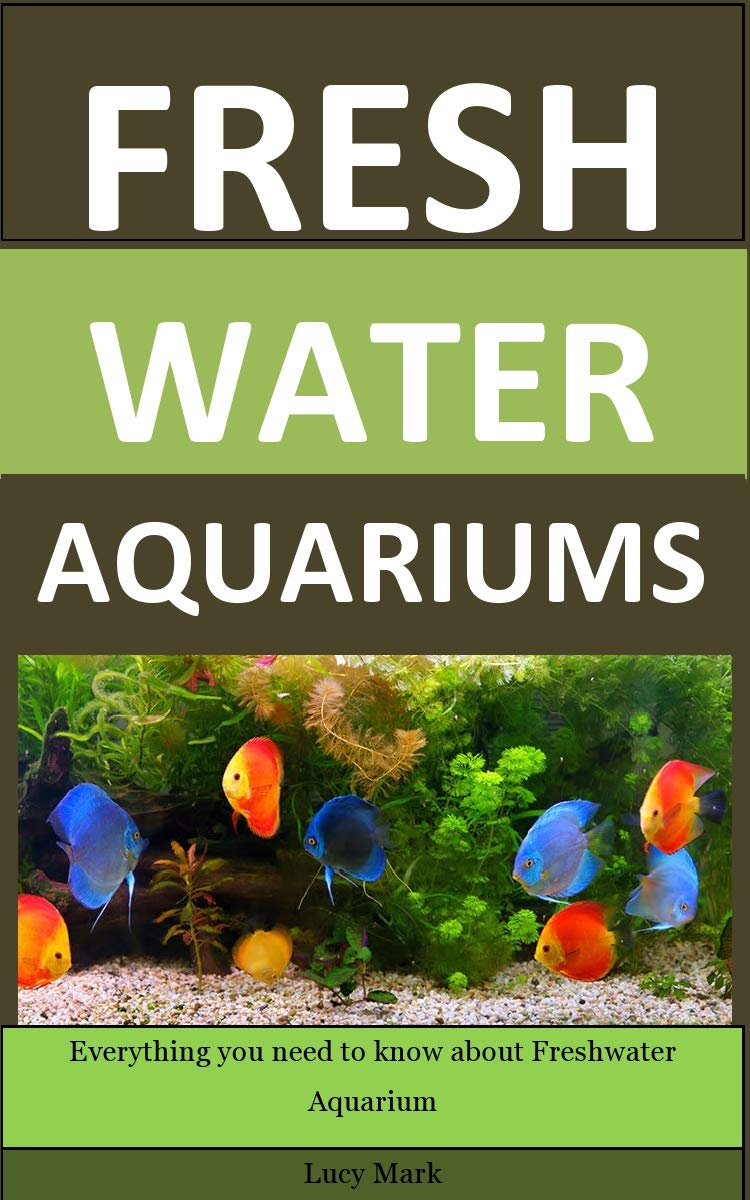 Freshwater Aquariums Everything you need to know about Freshwater