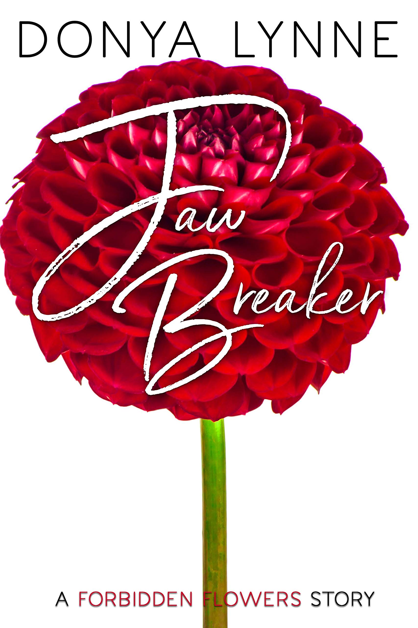 Jaw Breaker book cover