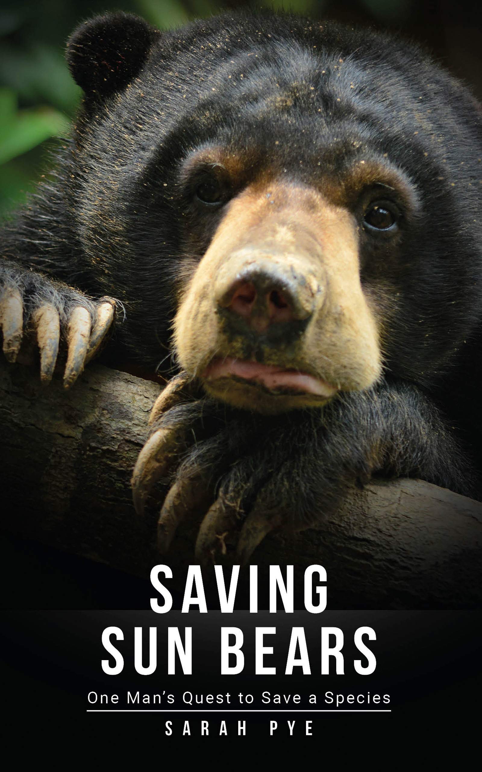 Saving Sun Bears One Man's Quest to Save a Species by Sarah Pye