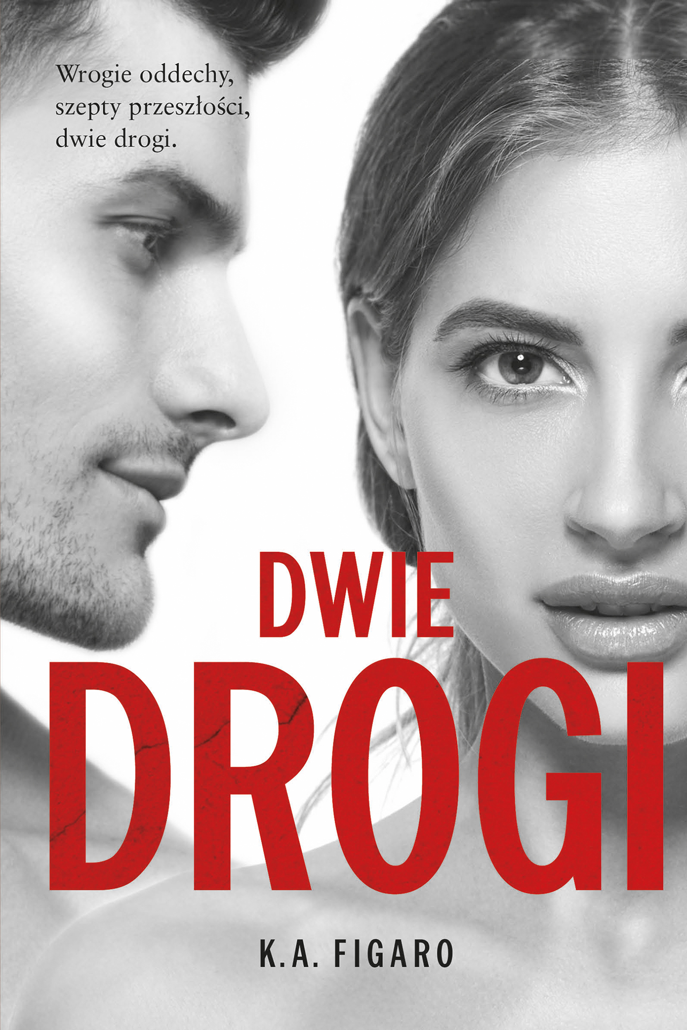 Dwie drogi book cover