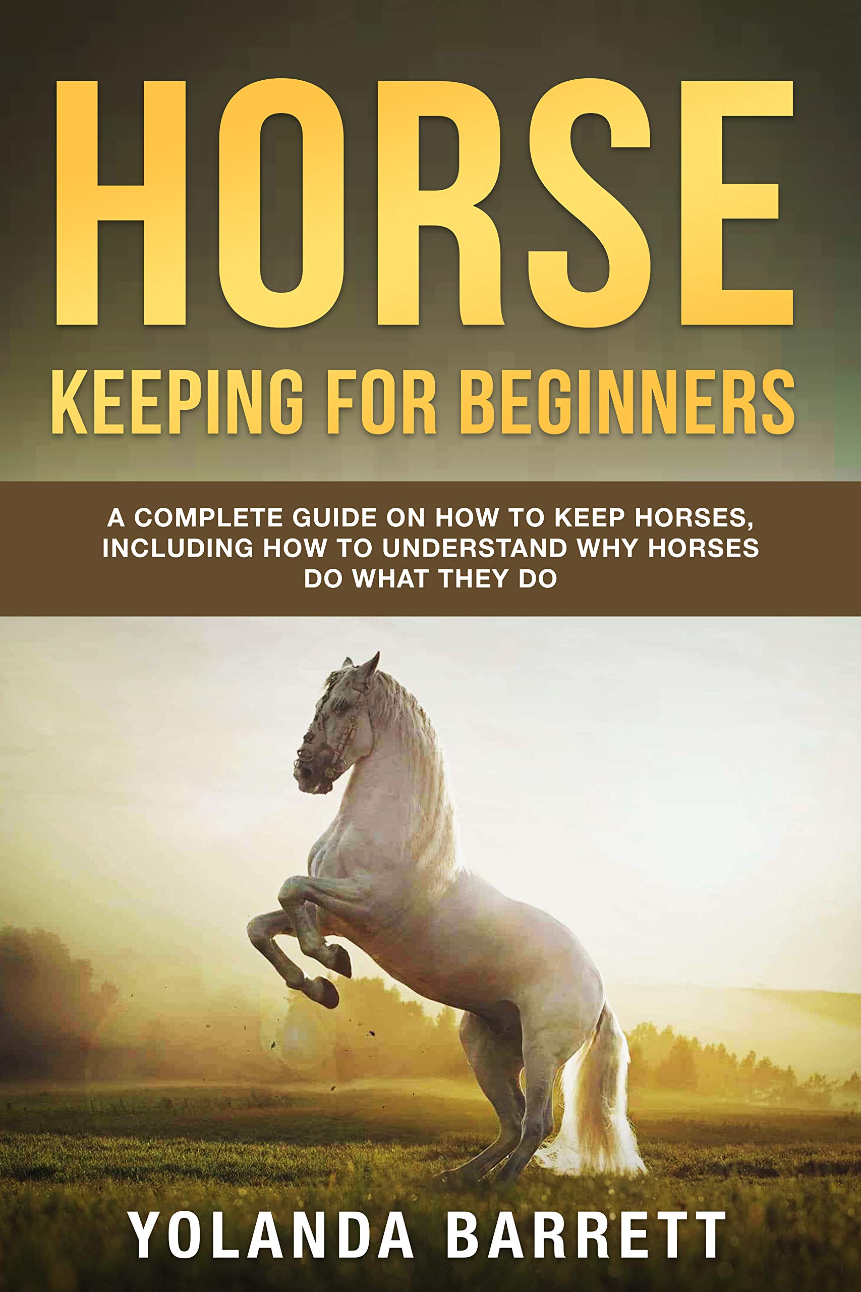 Horse Keeping For Beginners A Complete Guide on How to Keep Horses