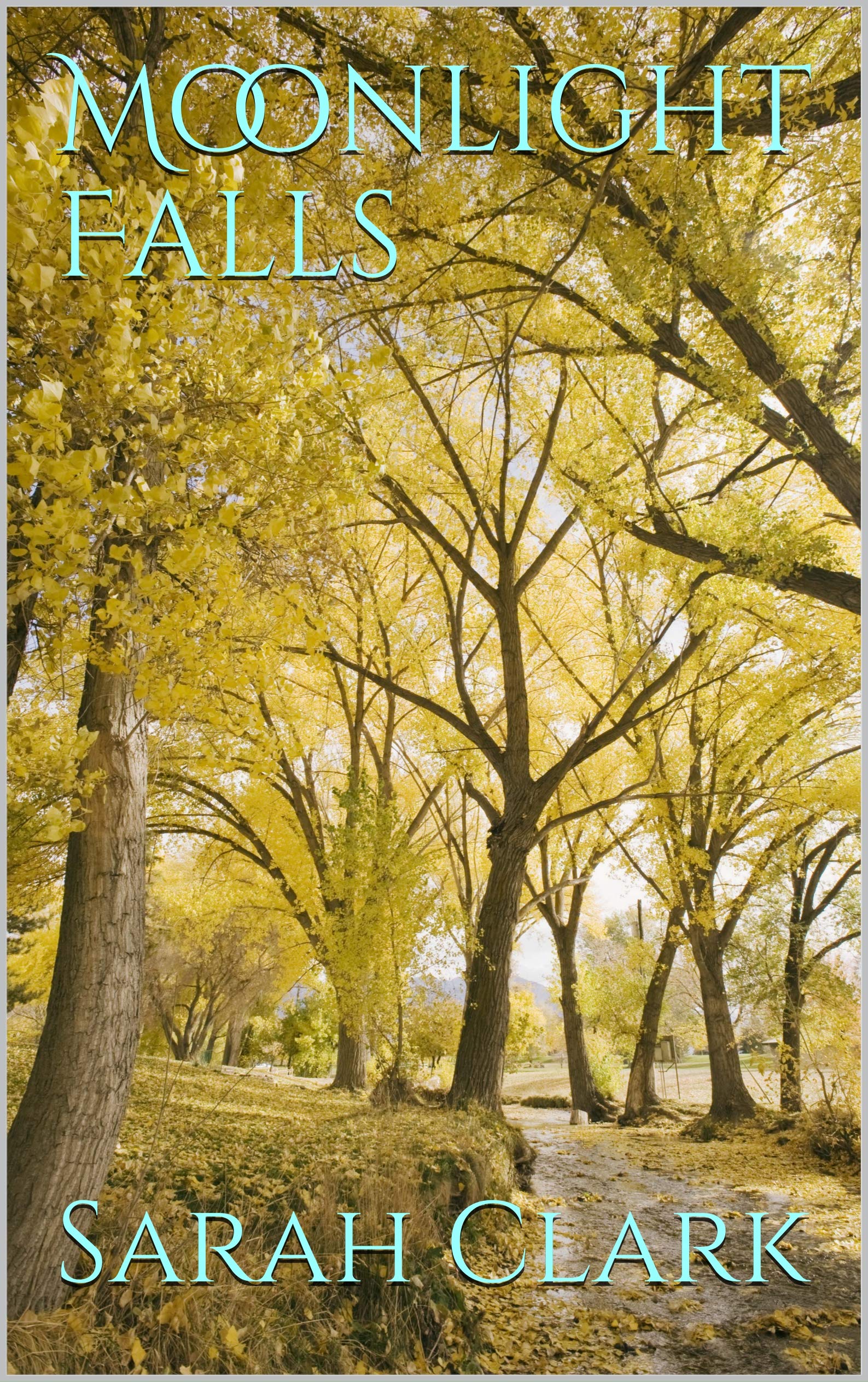 Moonlight Falls by Sarah Clark Goodreads