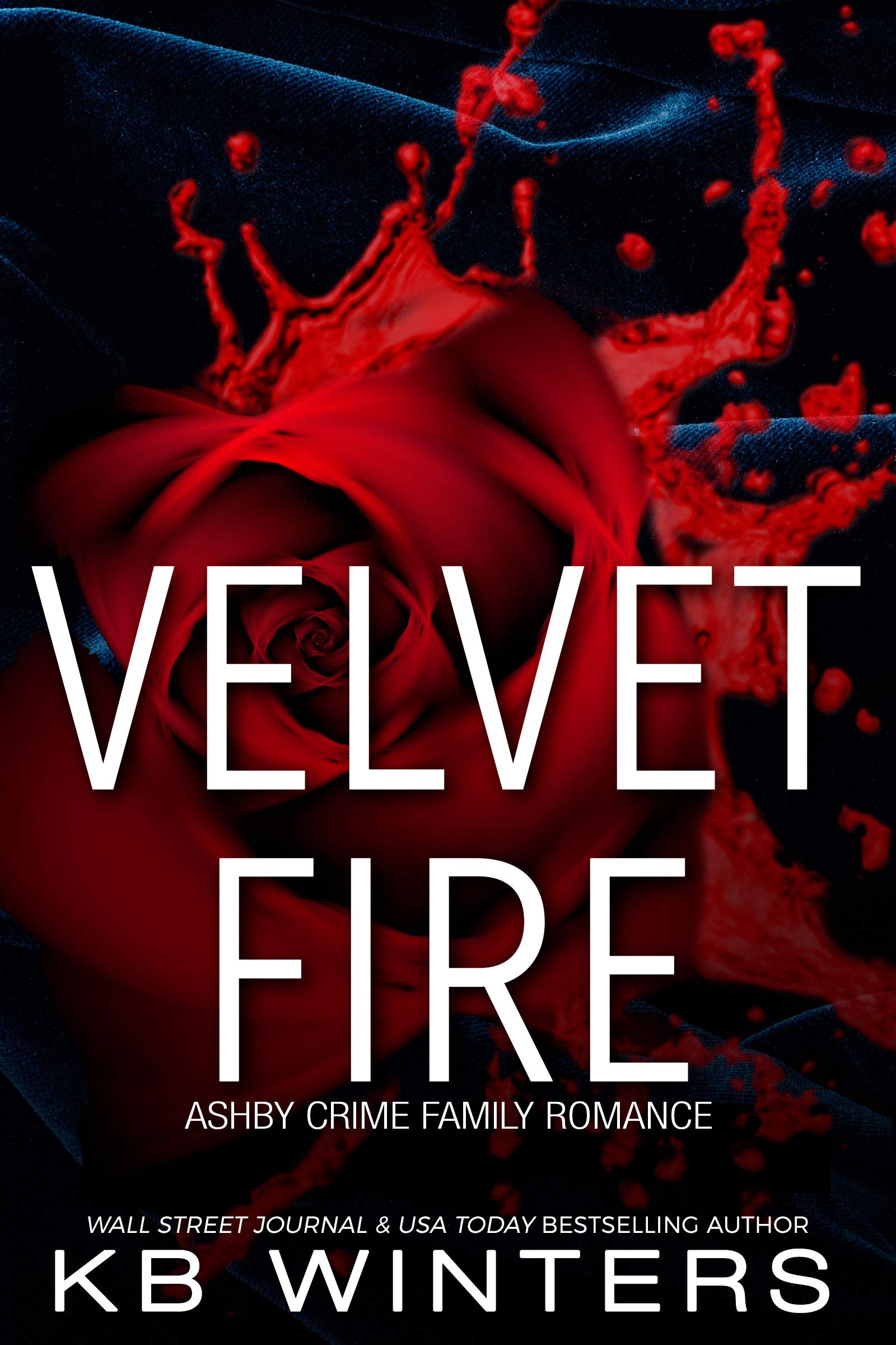 Velvet Fire book cover