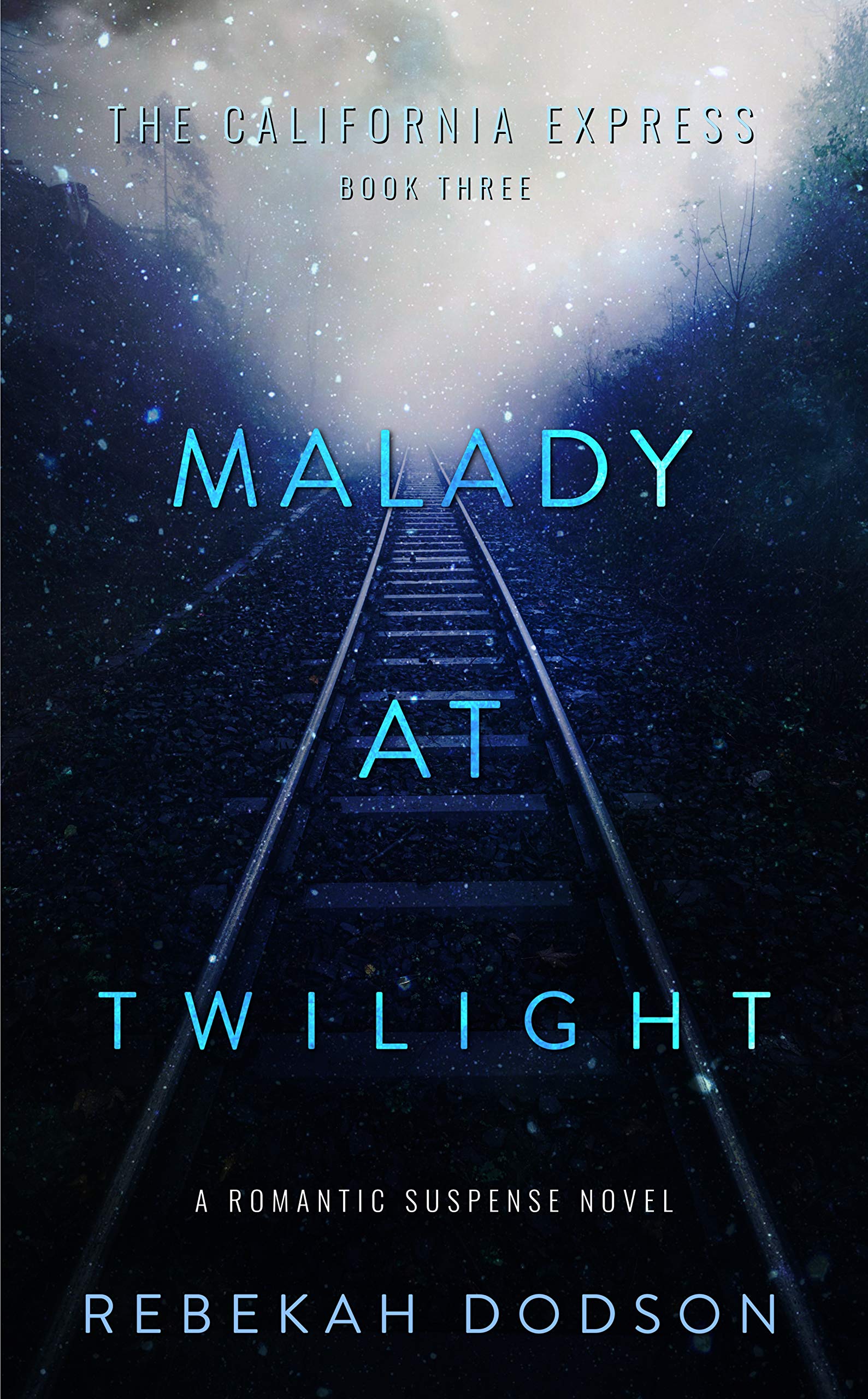 Malady At Twilight book cover