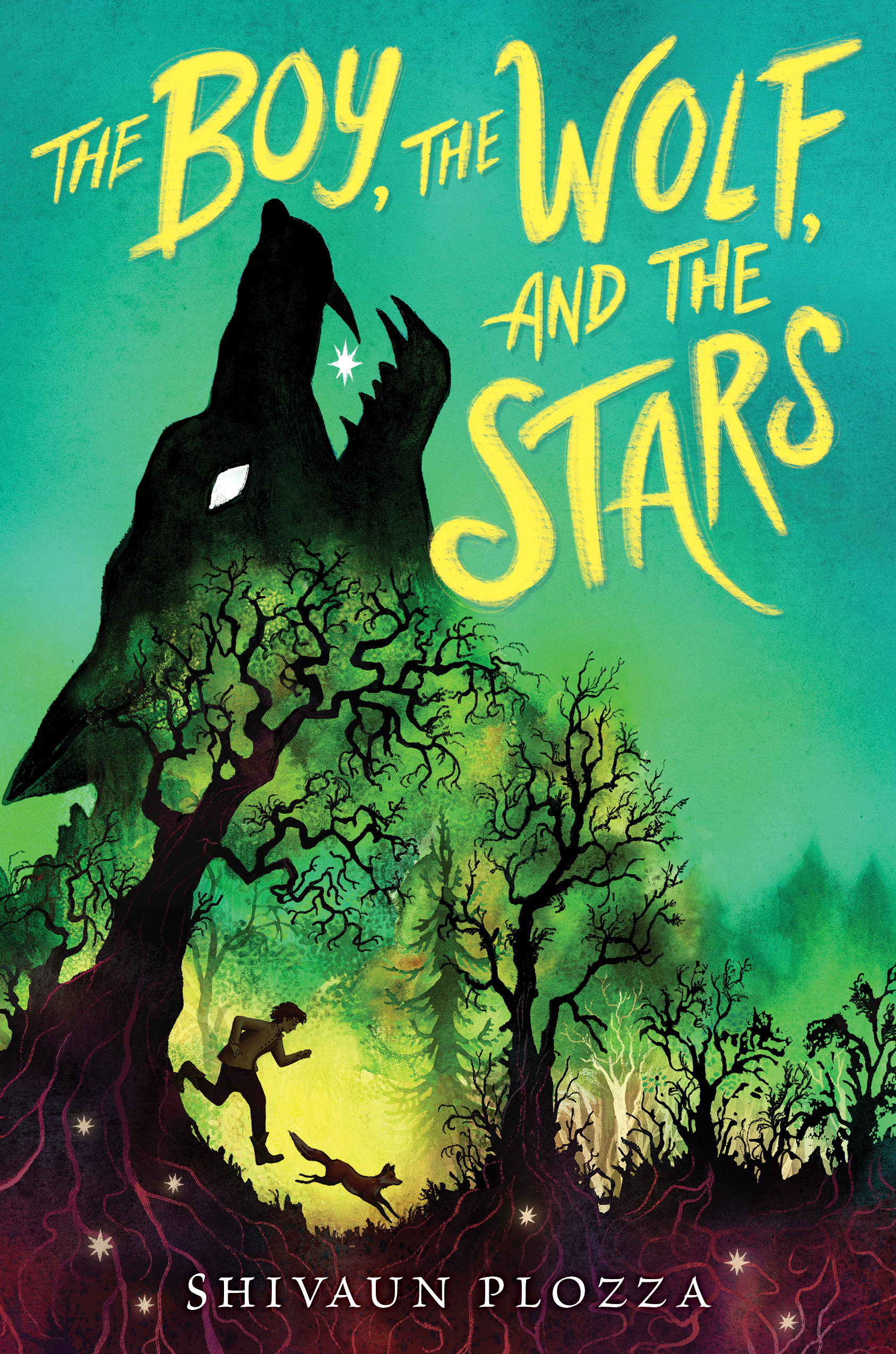The Boy, the Wolf, and the Stars book cover