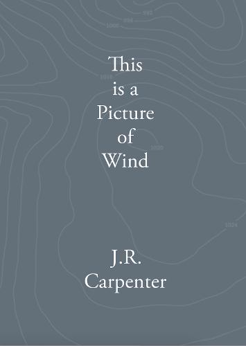 This is a Picture of Wind by J.R. Carpenter | Goodreads