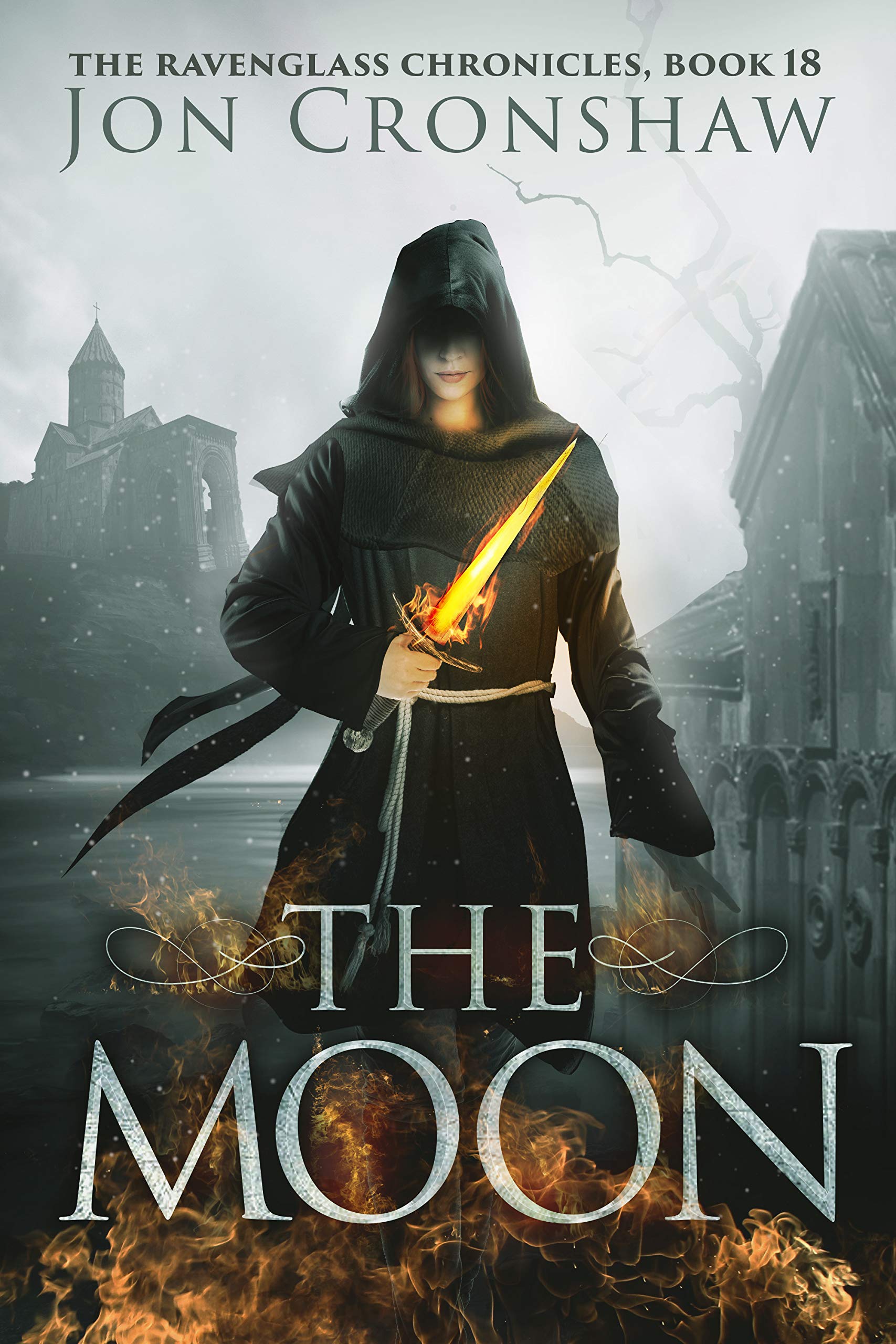 The Moon book cover