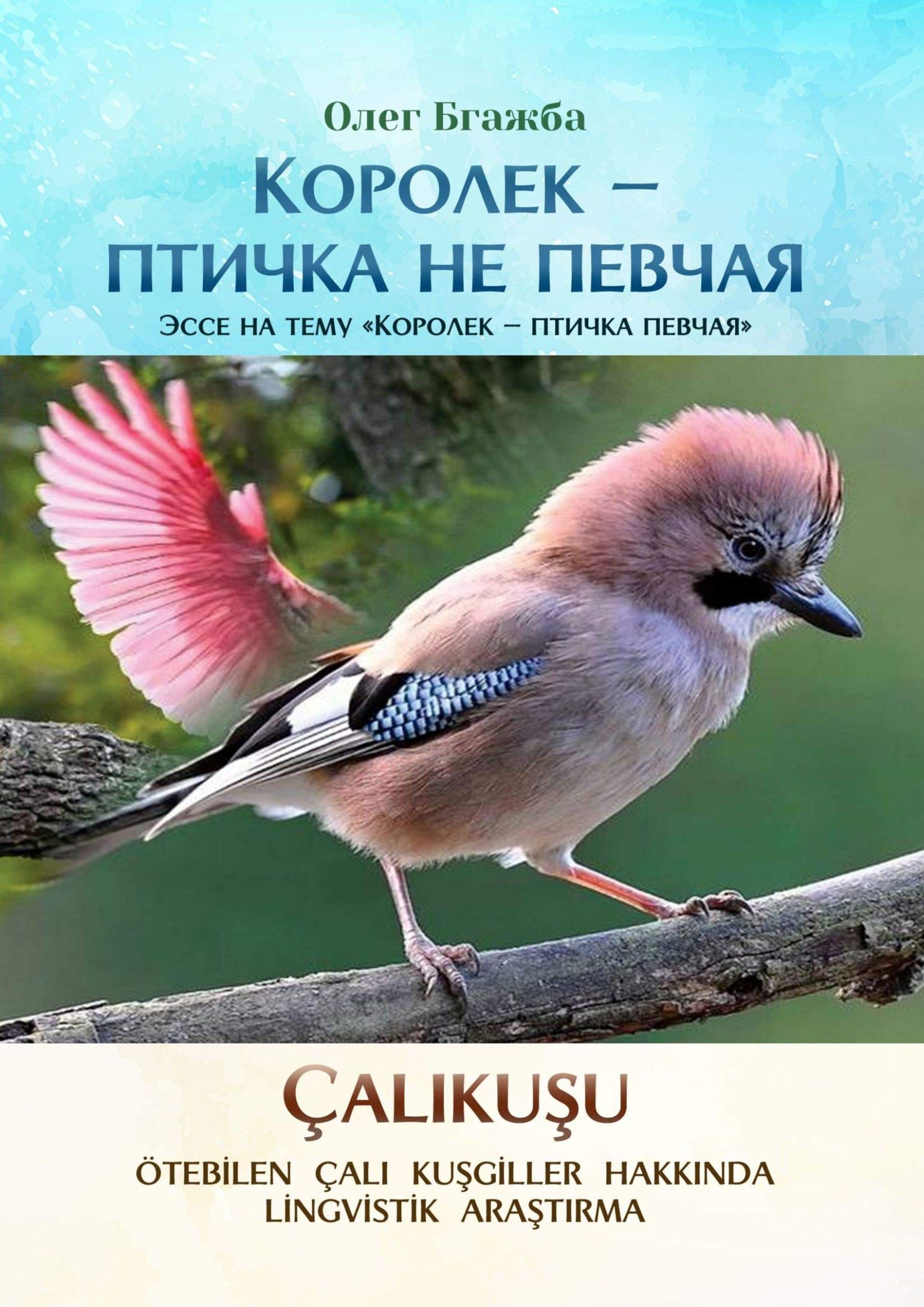 Королек — птичка не певчая: Эссе на тему «Королек — птичка певчая» by ...