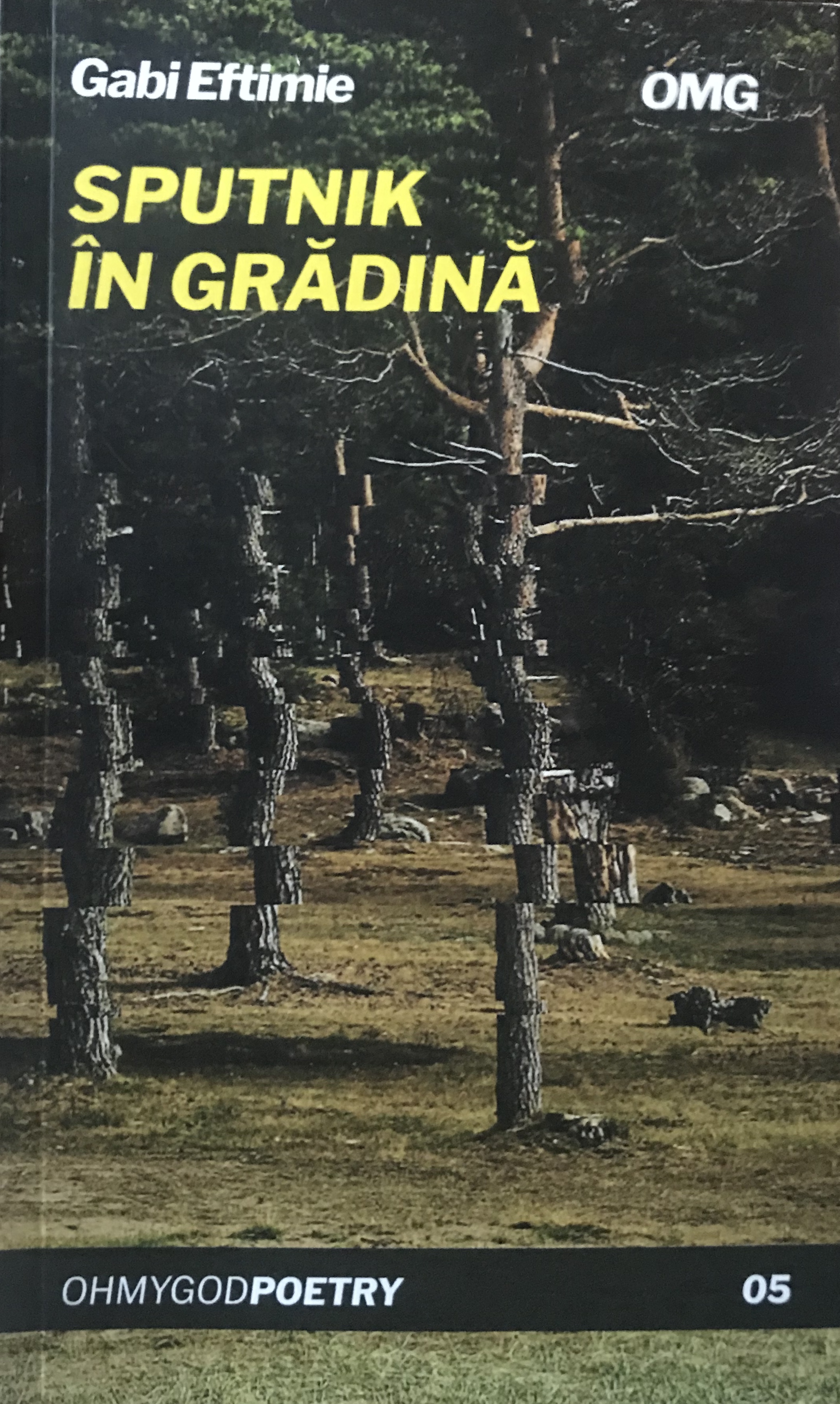 Sputnik în grădină
