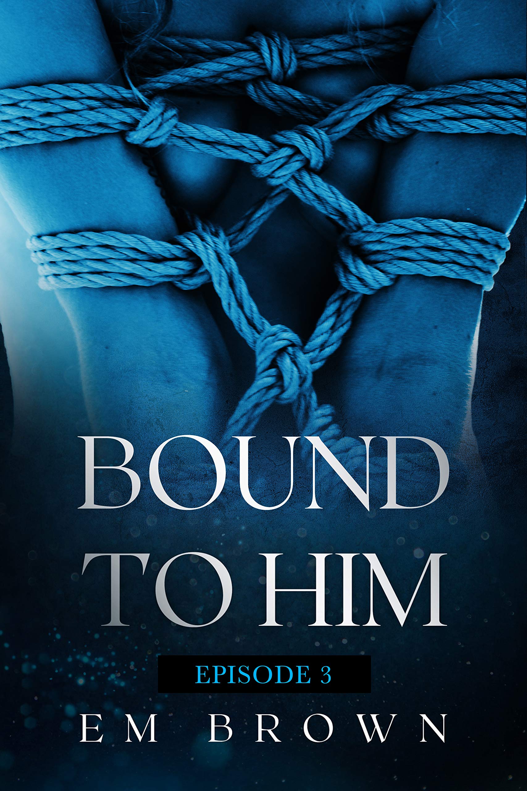 Bound to Him book cover 3