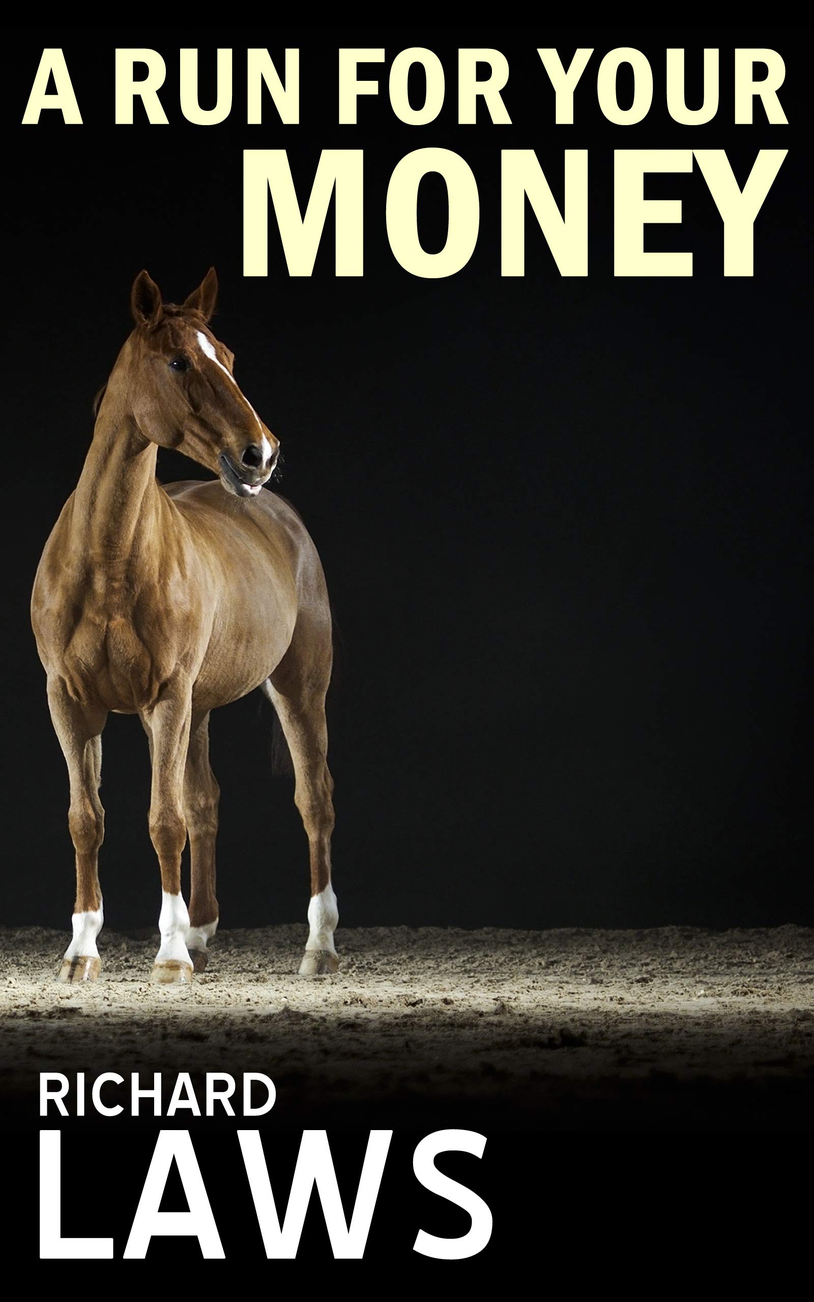 A Run For Your Money: A horse racing ownership thriller
