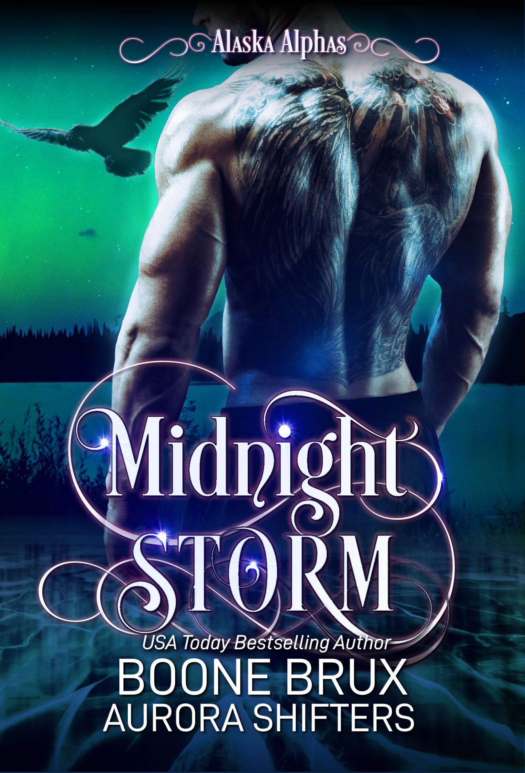 Midnight Storm book cover
